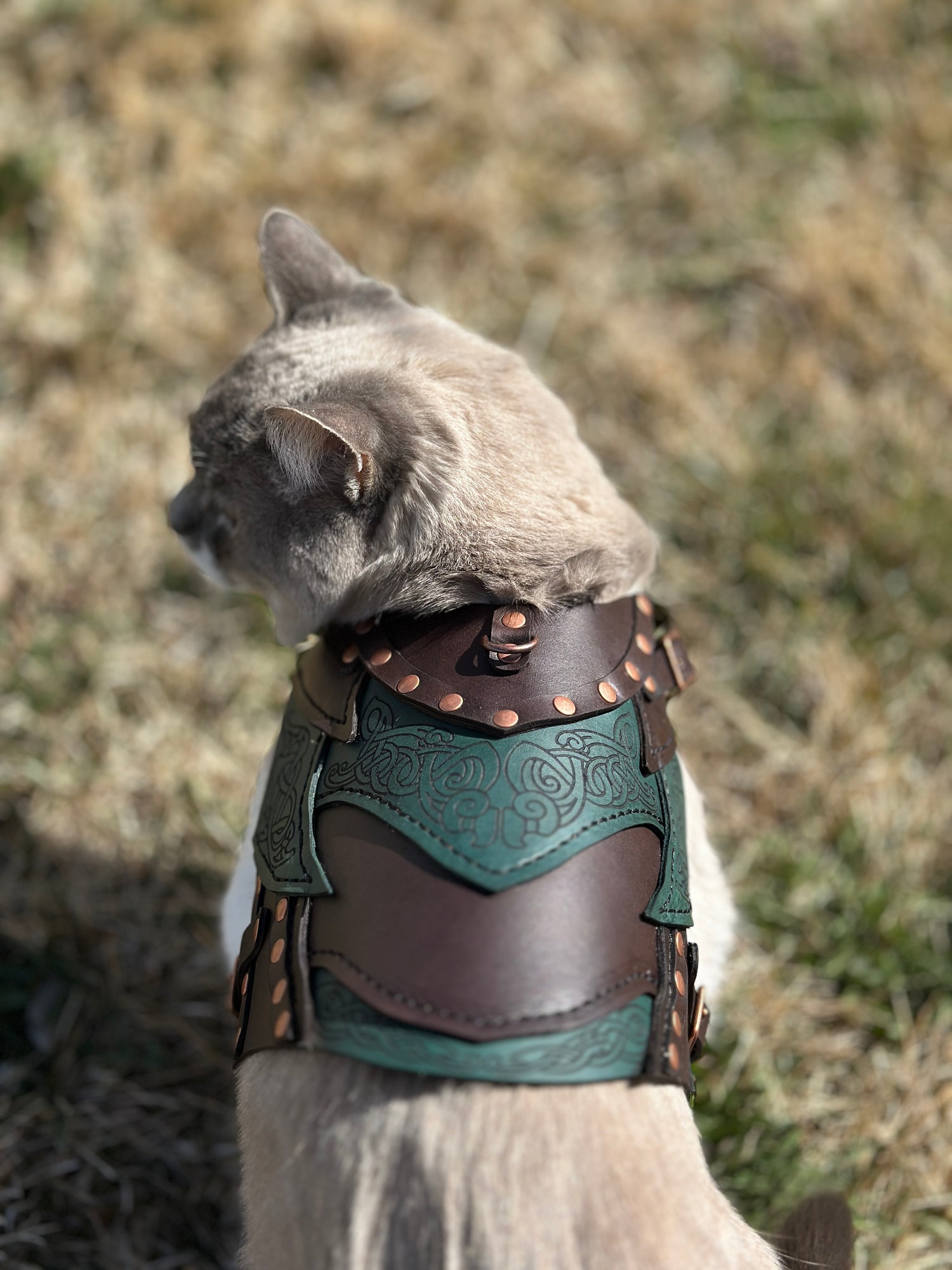 Loki Leather Cat  Armor