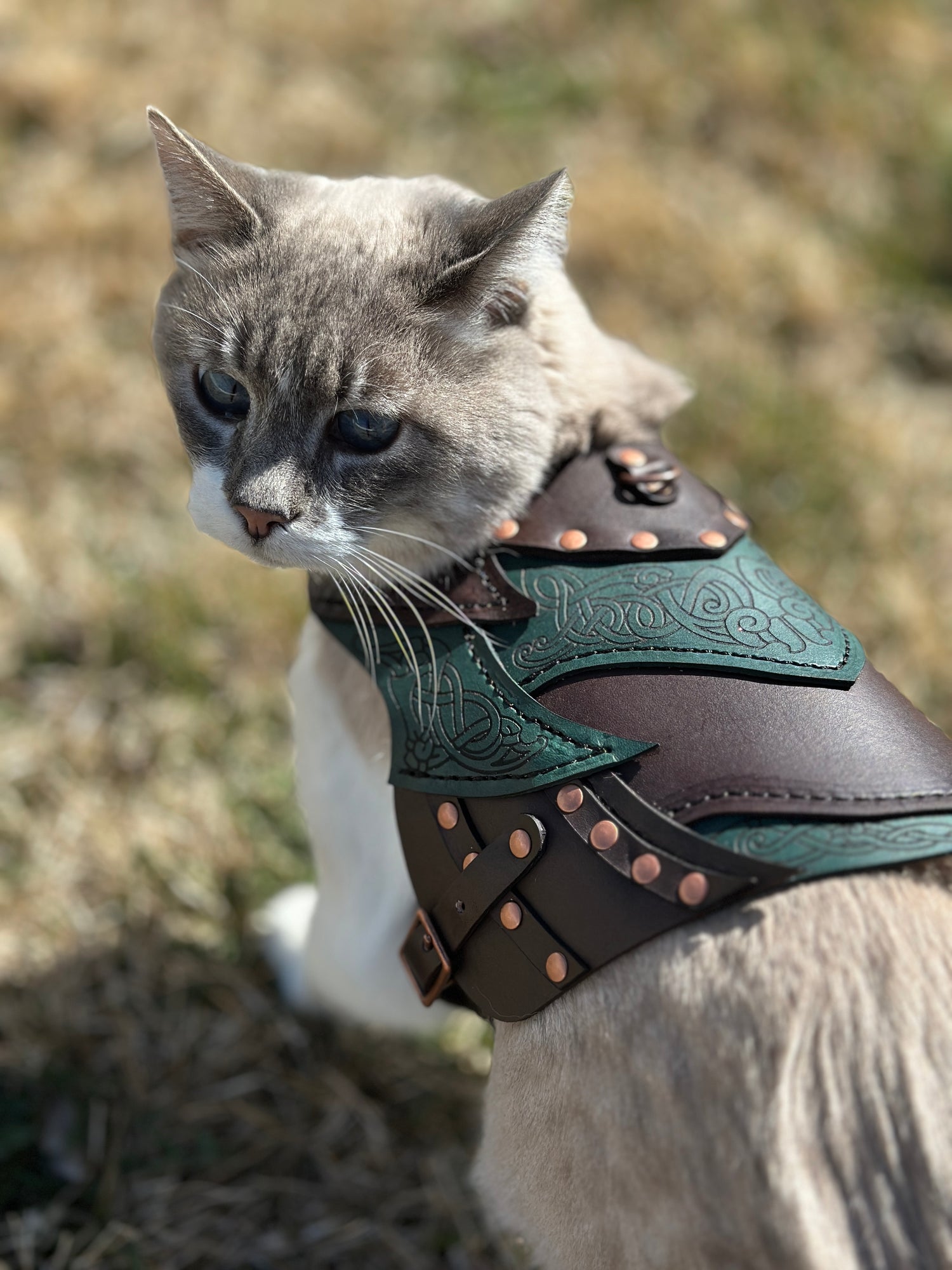 Loki Leather Cat  Armor