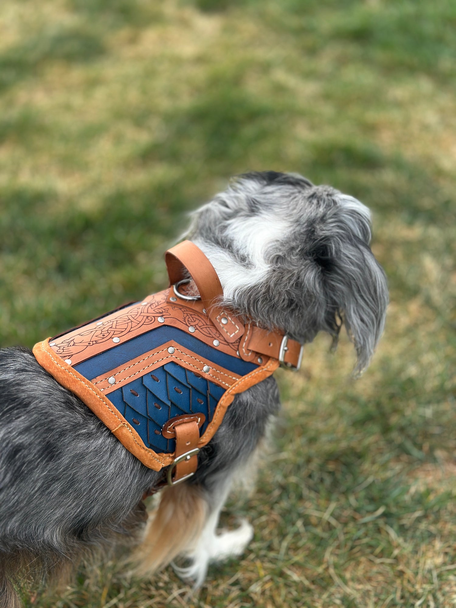 Ulfrik Leather Dog Armor Harness