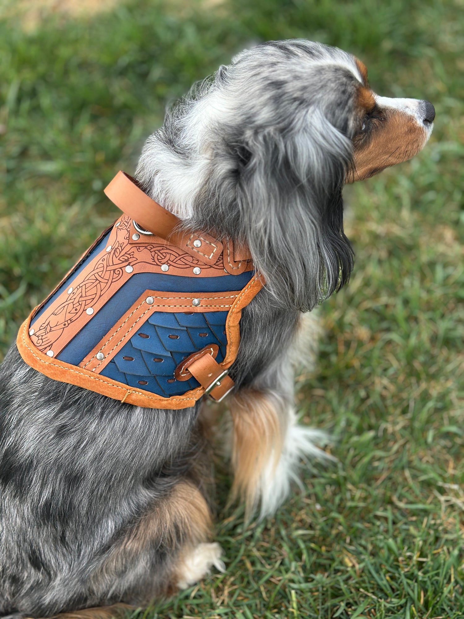 Ulfrik Leather Dog Armor Harness