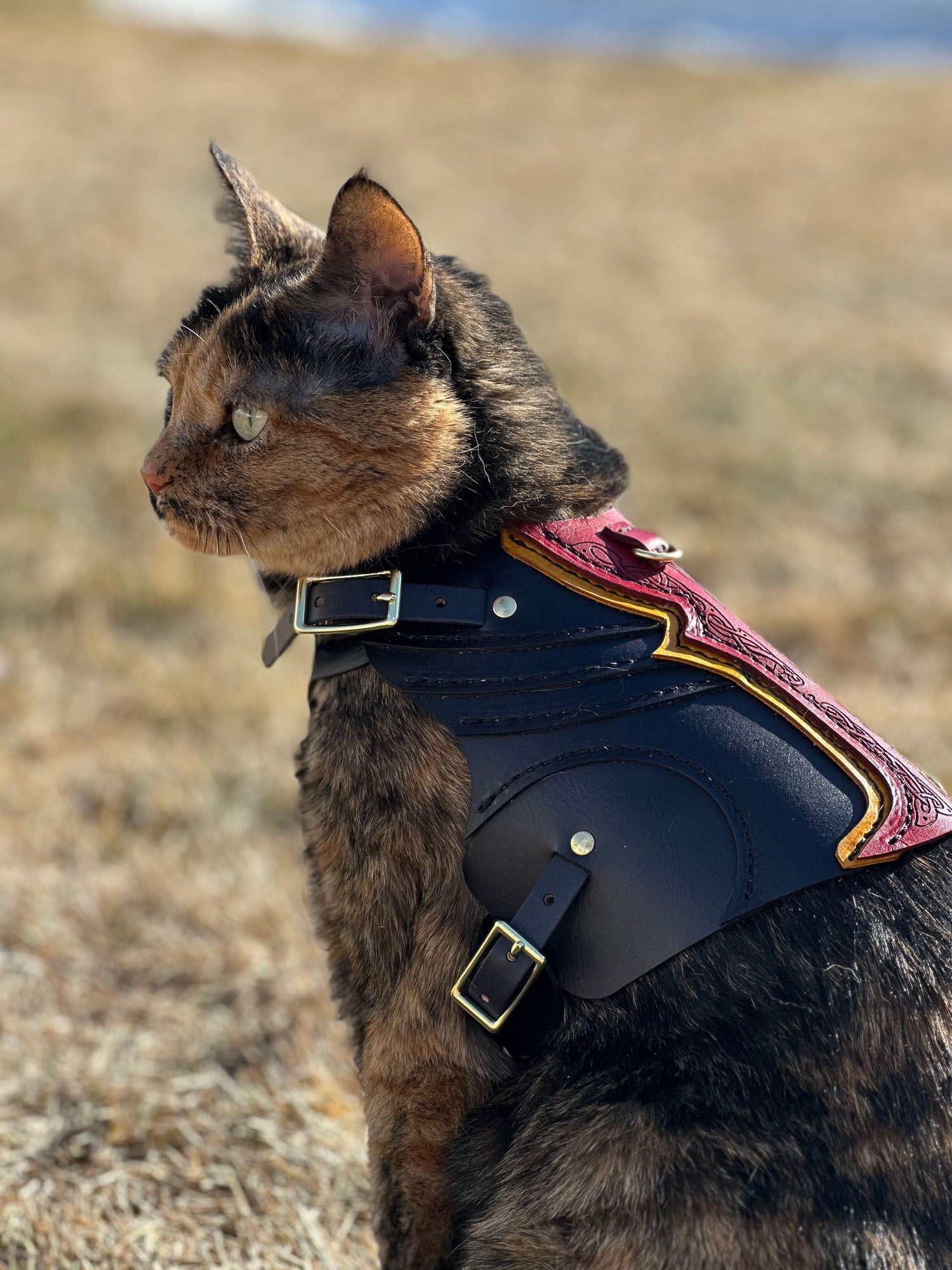 Leif Leather Cat Harness