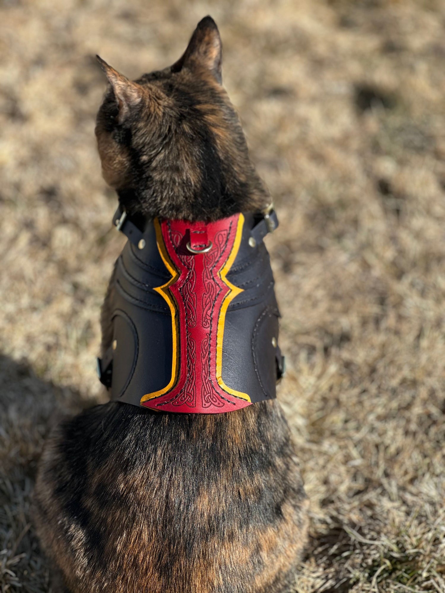 Leif Leather Cat Harness