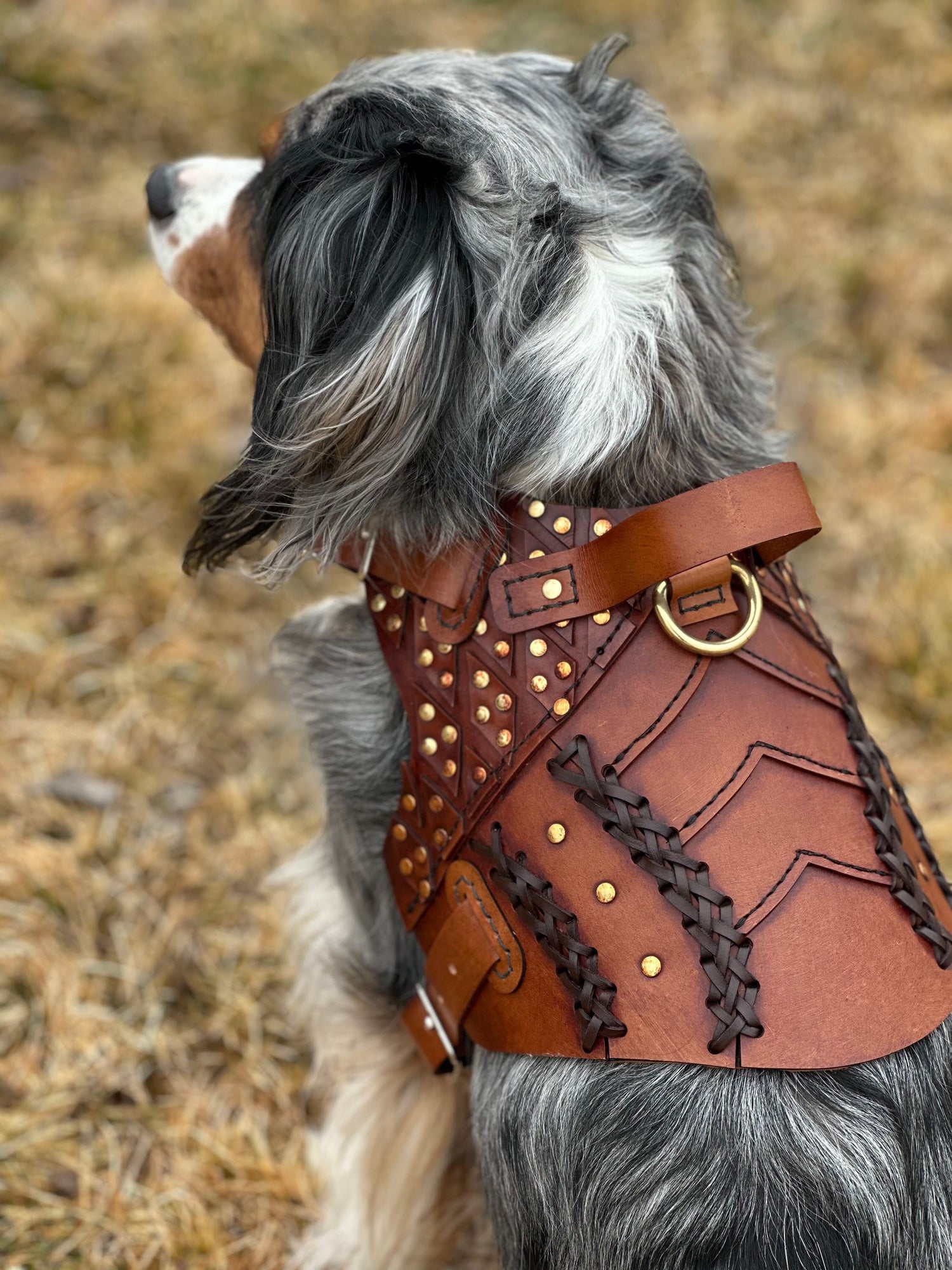 Baldr Dog Armor Harness