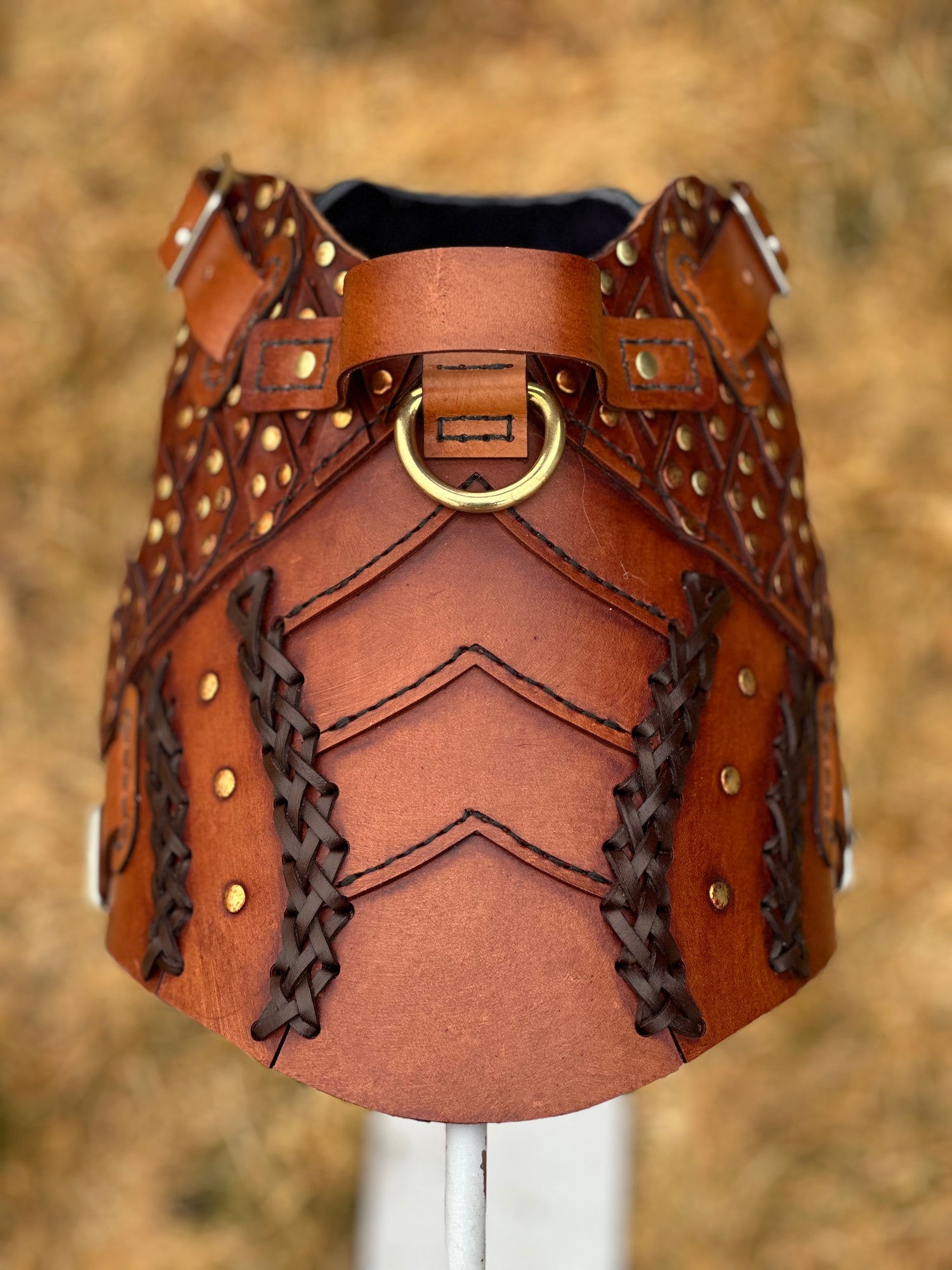 Baldr Dog Armor Harness