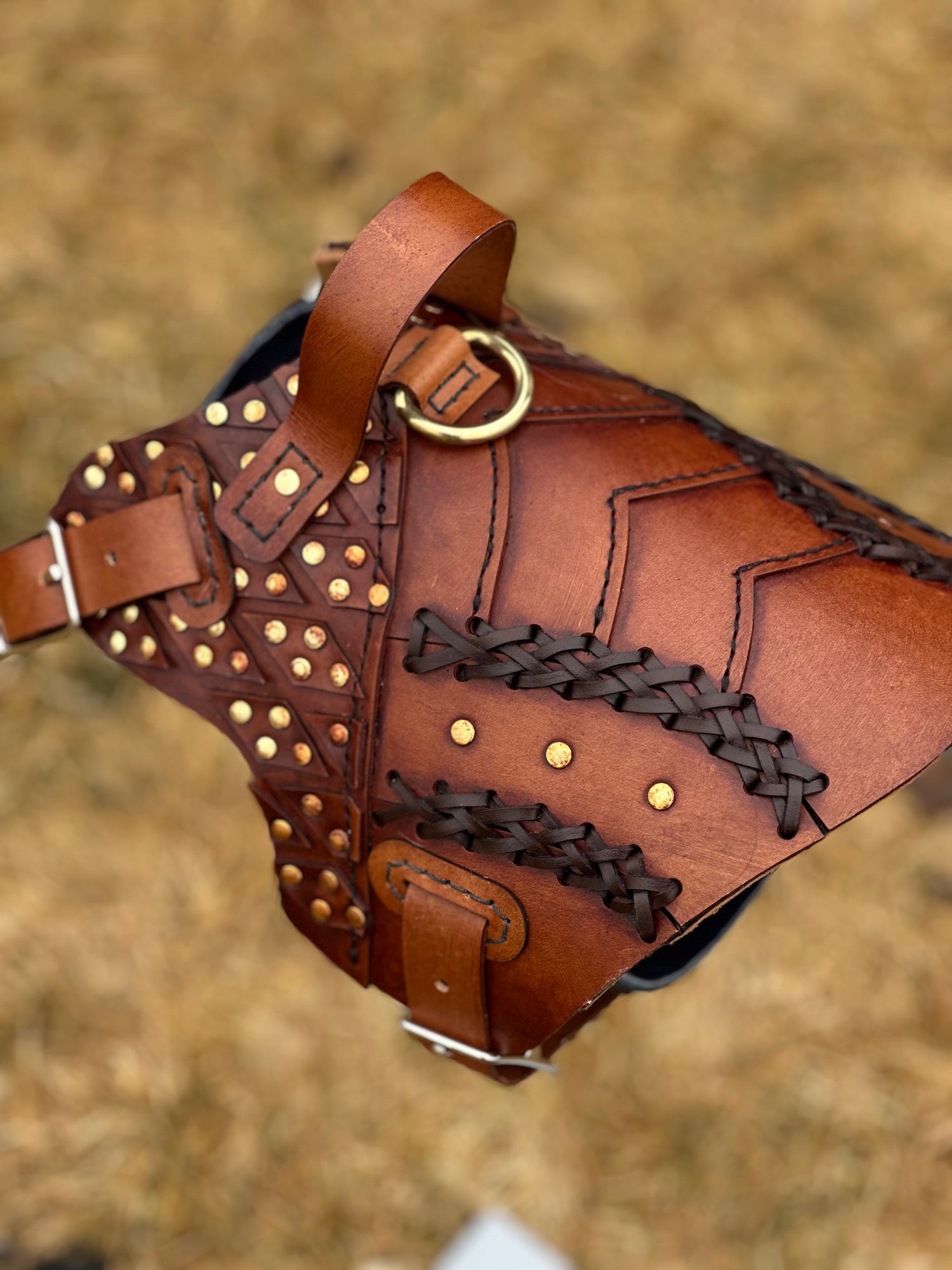 Baldr Dog Armor Harness