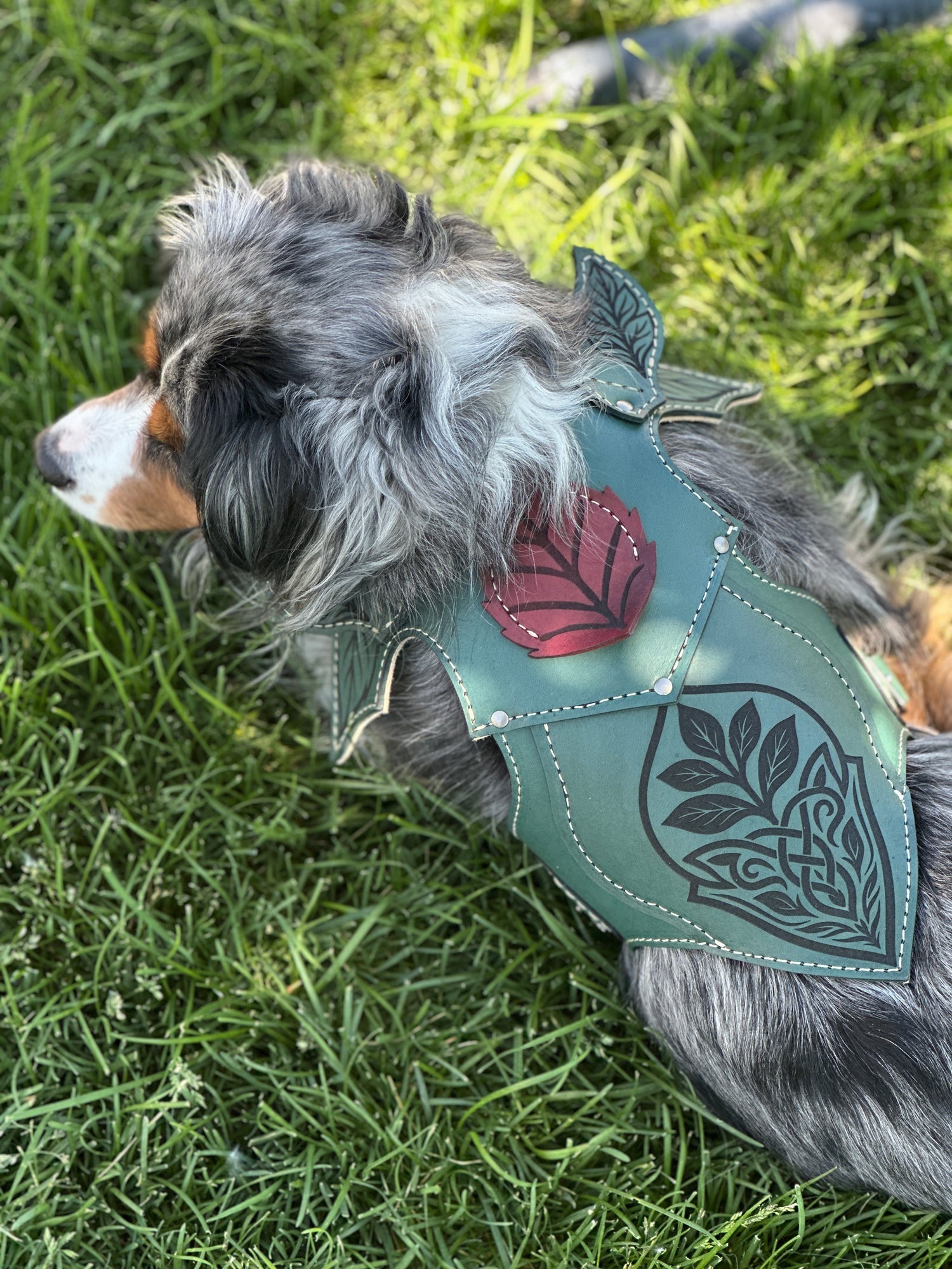 Wyrmwood Fairy Saddle