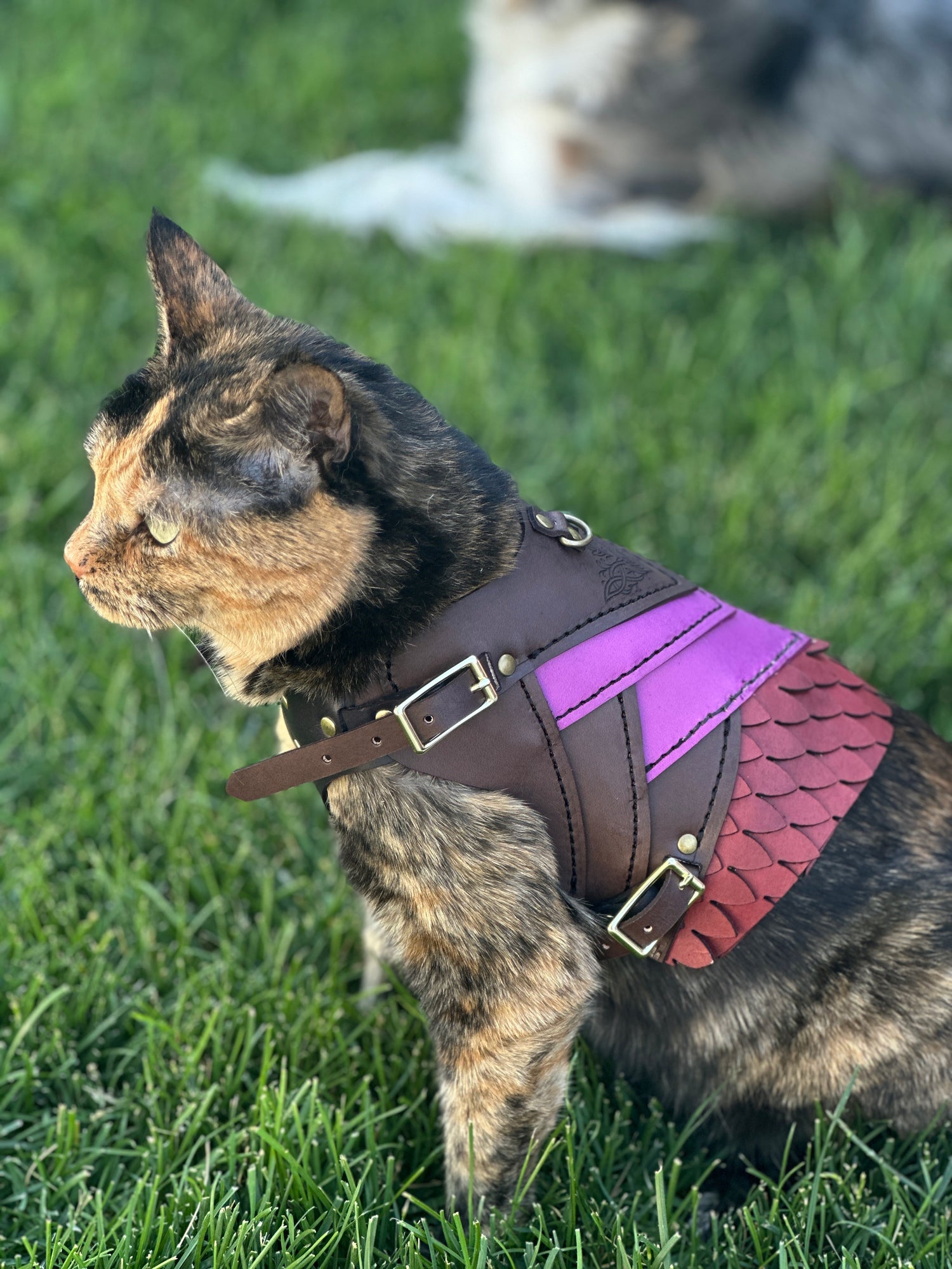 Skeldryn Leather Cat  Armor