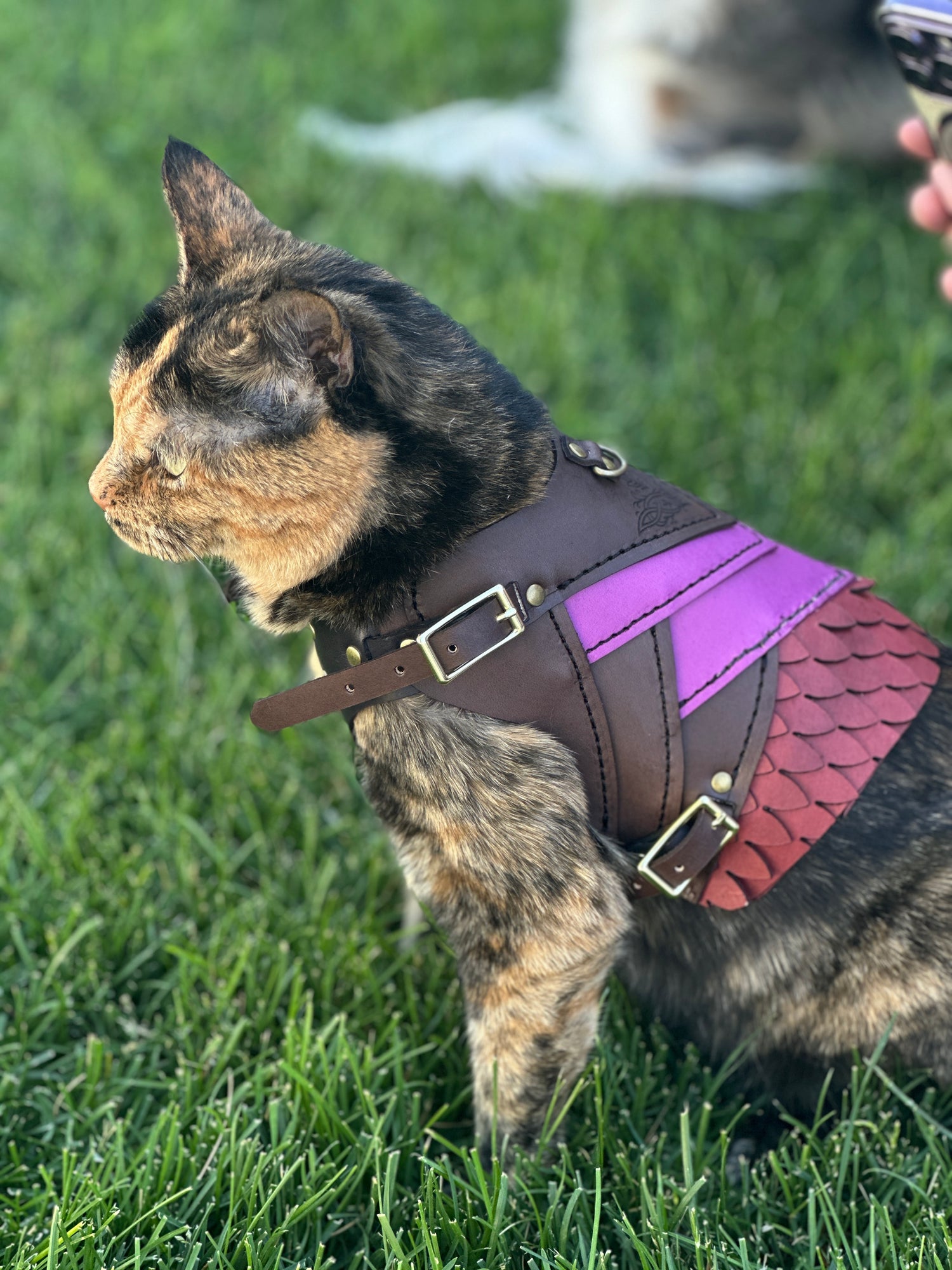 Skeldryn Leather Cat  Armor