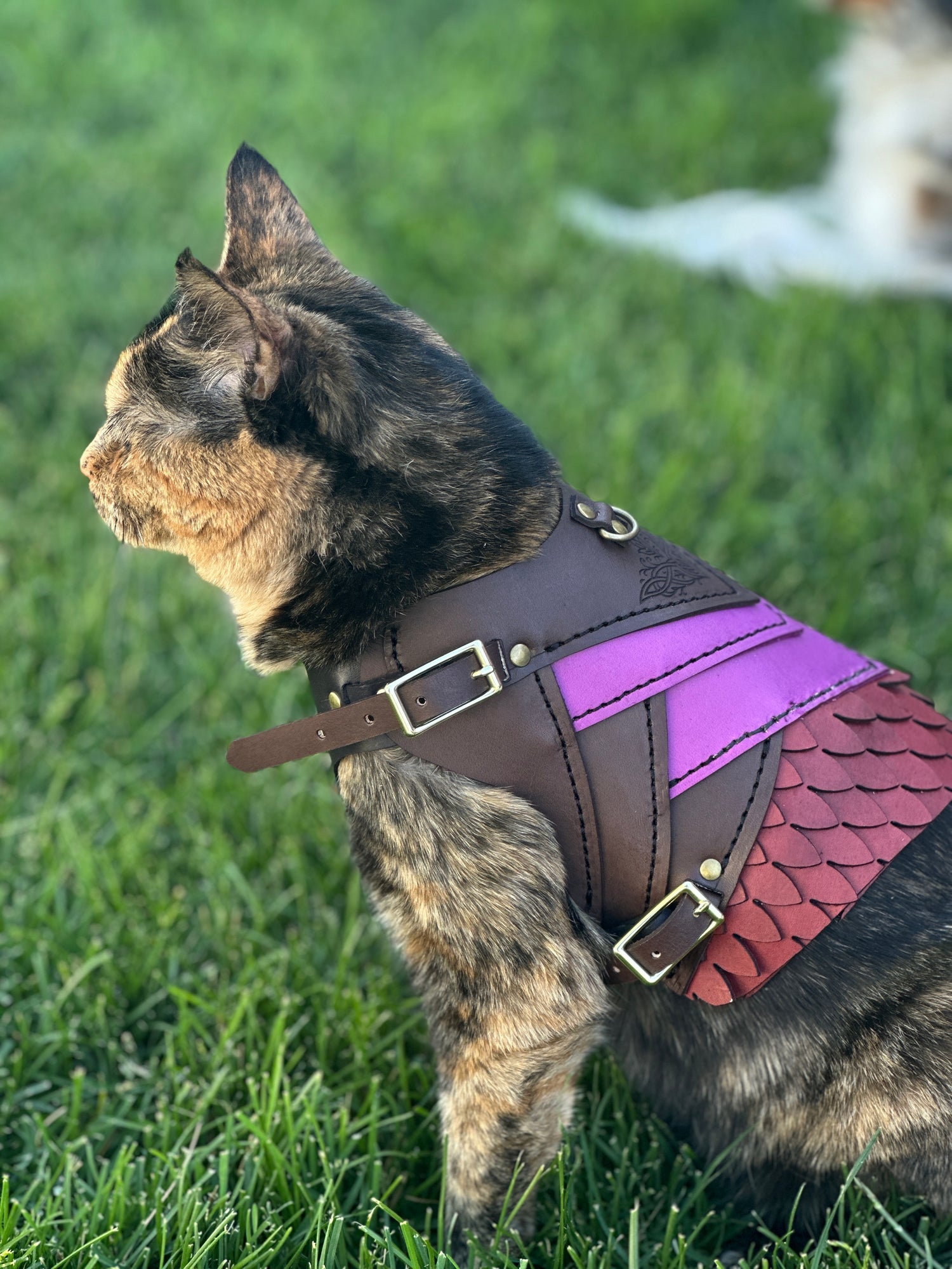 Skeldryn Leather Cat  Armor