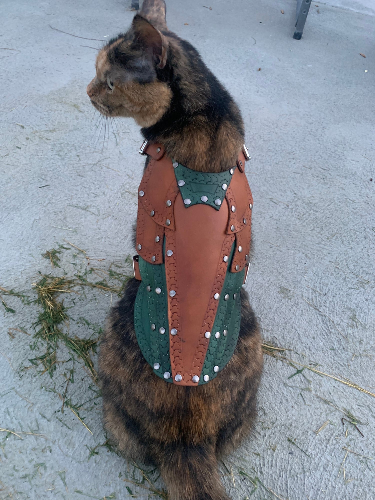 Maeve Leather Cat Armor, Harness