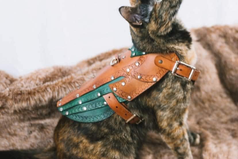 Maeve Leather Cat Armor, Harness