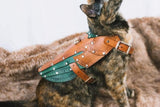 Maeve Leather Cat Armor, Harness