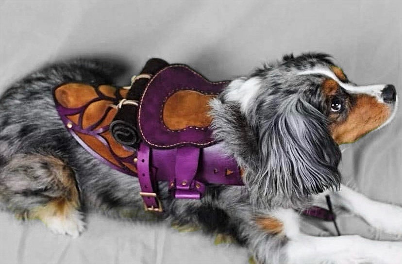 Dog Harness, Leather and Suede Fairy Saddle