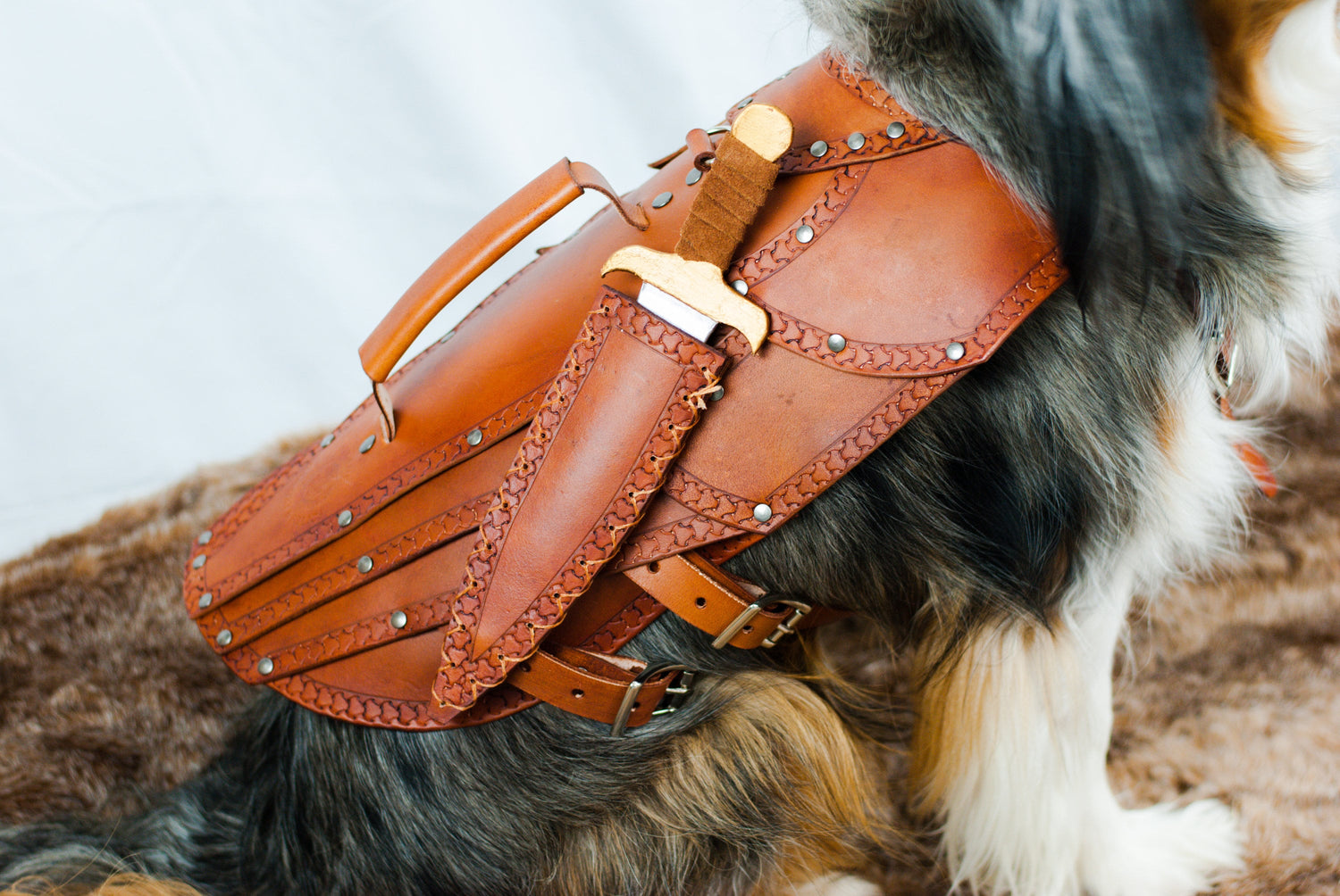 PATTERN! For Maeve Leather Dog Armor