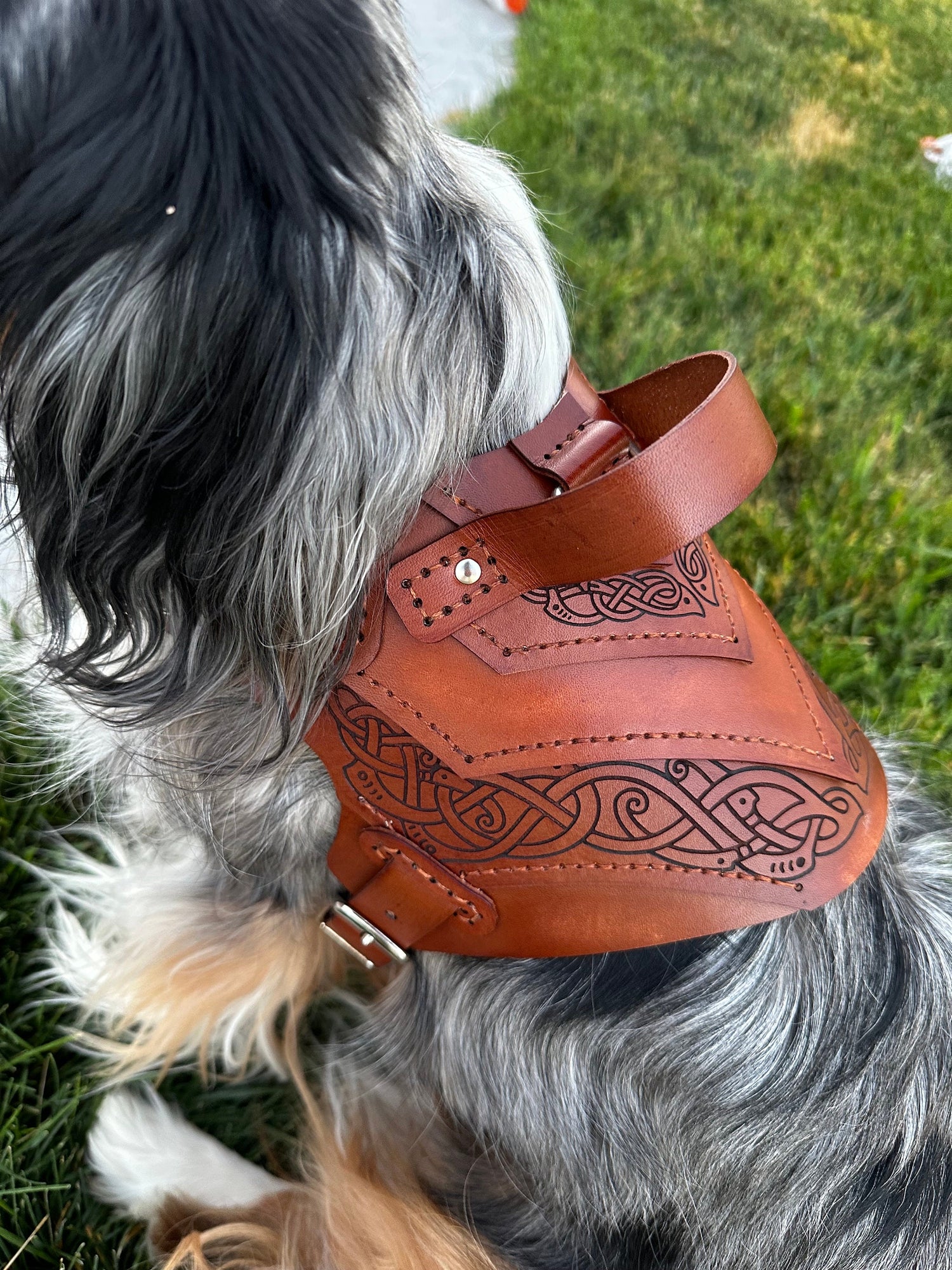 Vidar Leather Dog Harness Armor