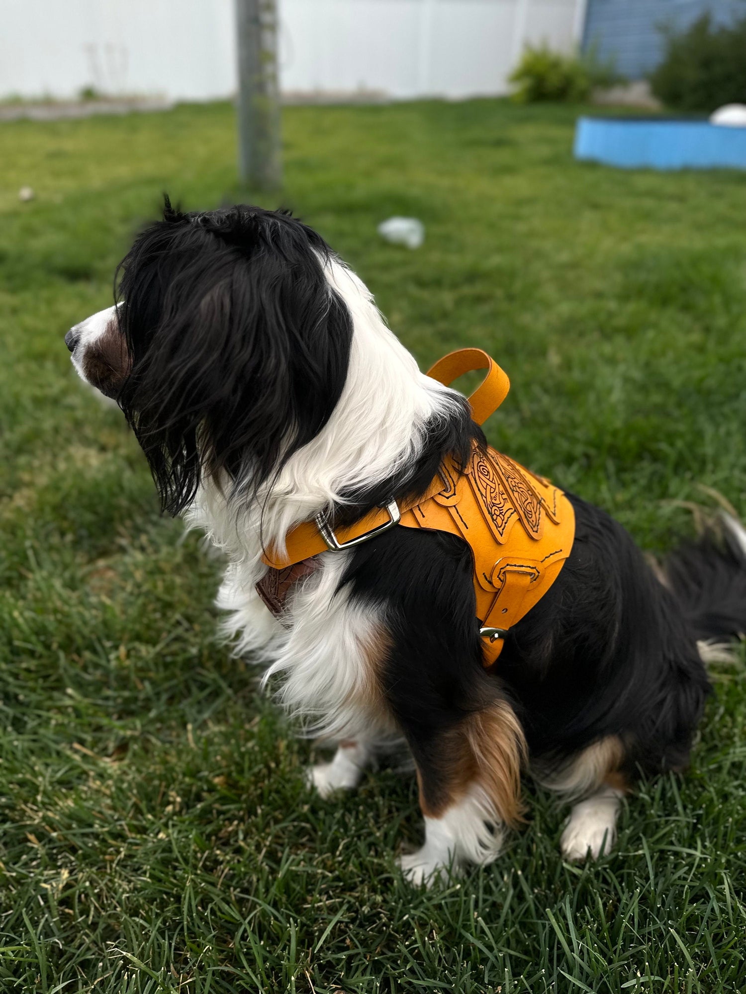Njord Leather Dog Harness Armor