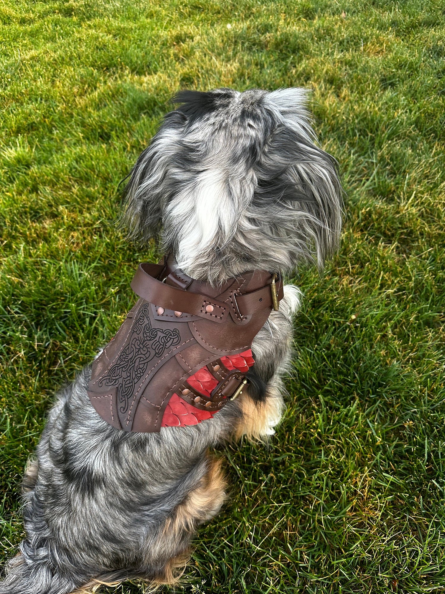 Heimdall Leather Dog Harness Armor