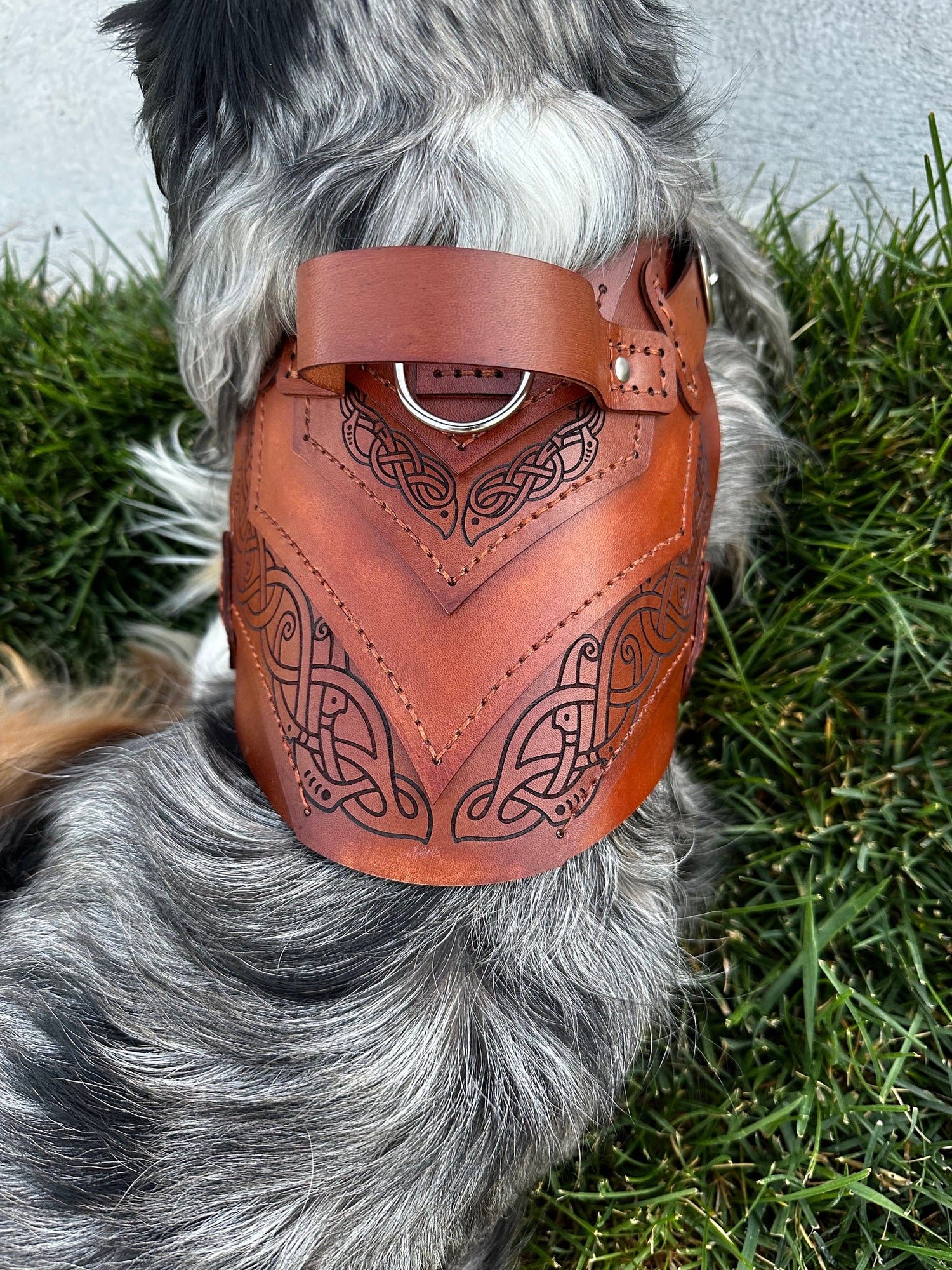Vidar Leather Dog Harness Armor