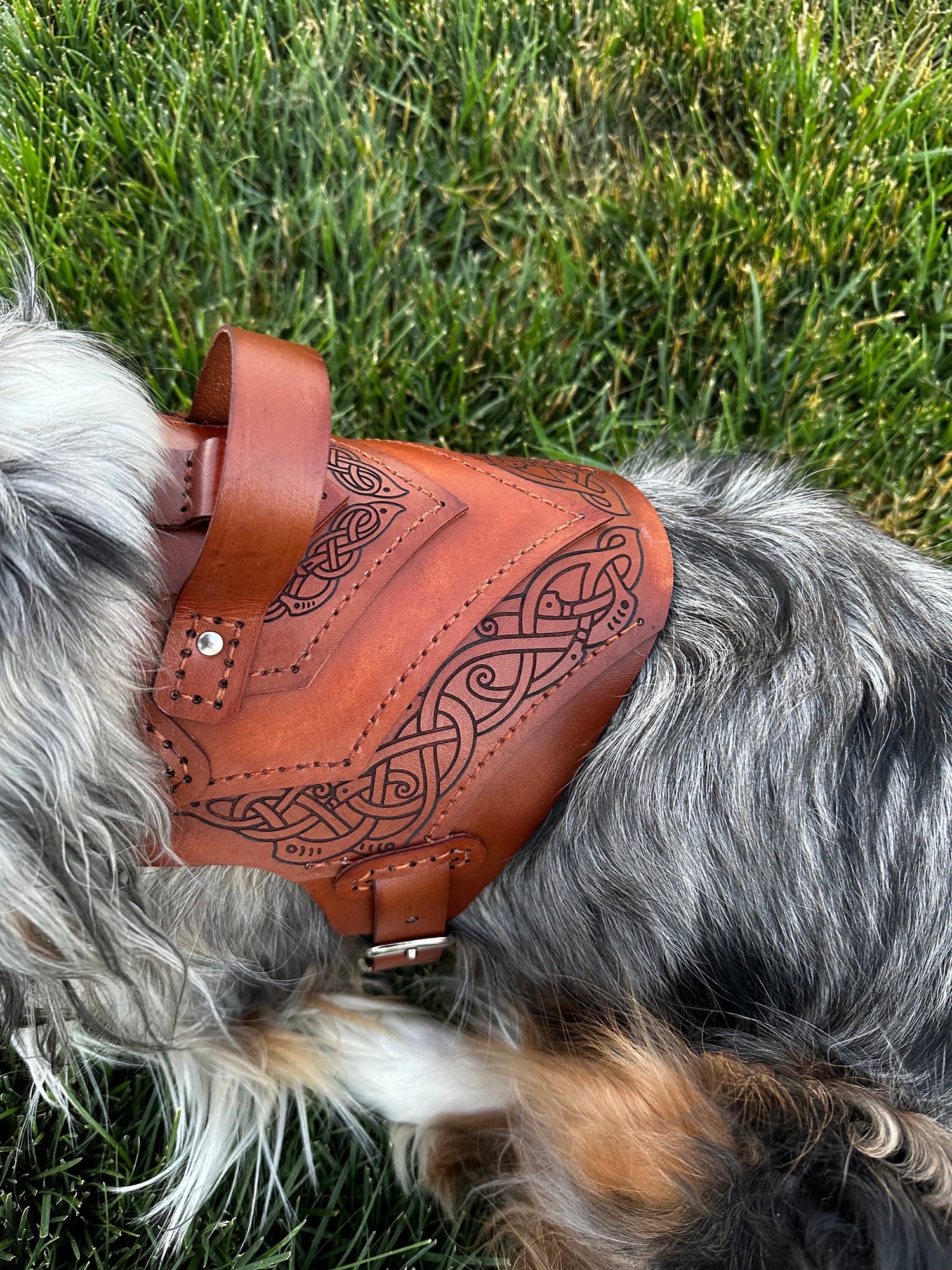 Vidar Leather Dog Harness Armor