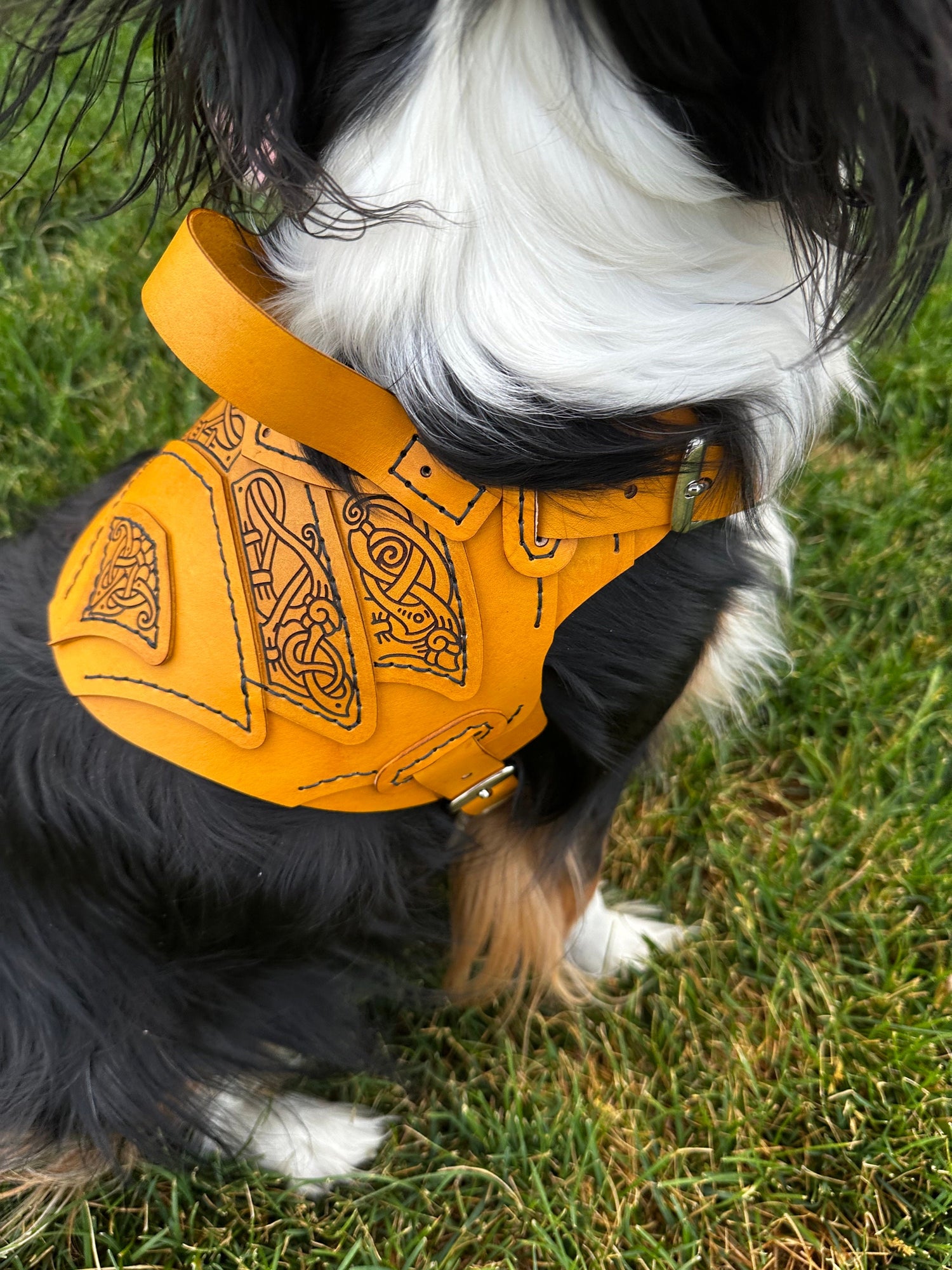 Njord Leather Dog Harness Armor