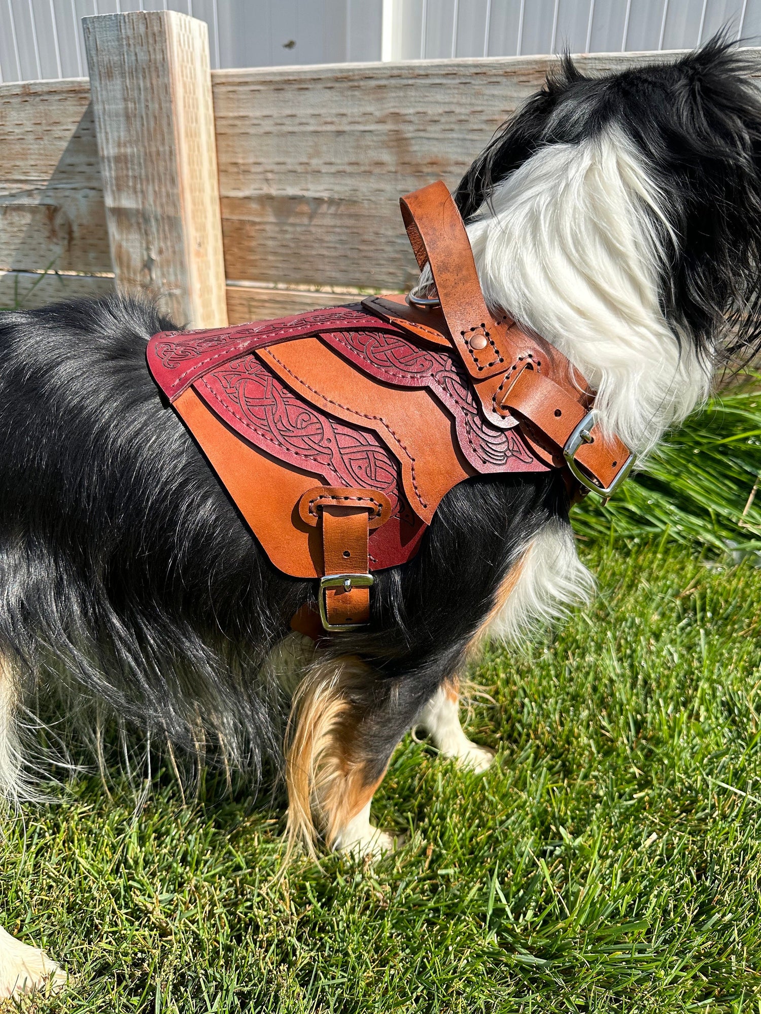 Frida Leather Dog Harness Armor