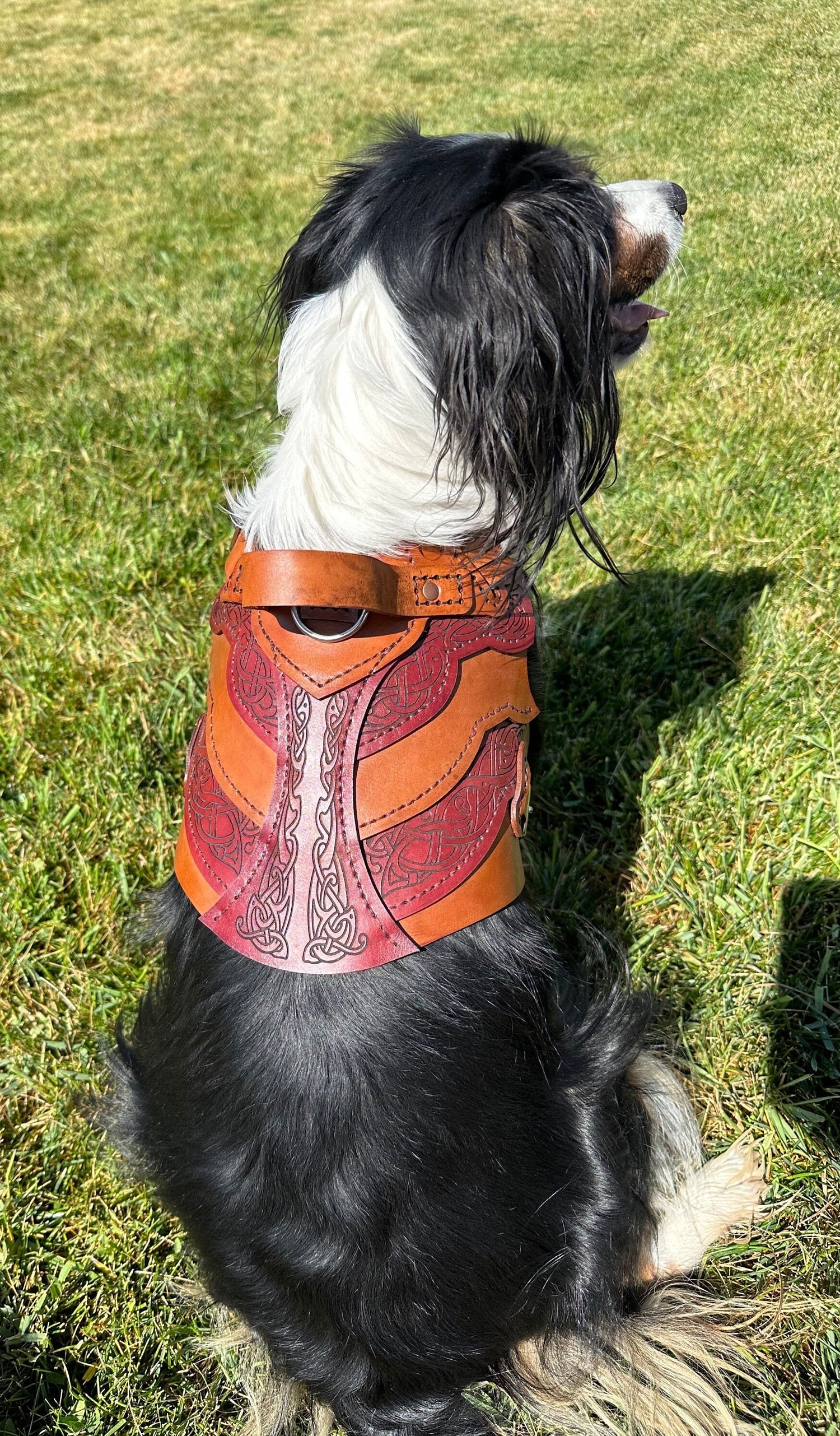 Frida Leather Dog Harness Armor