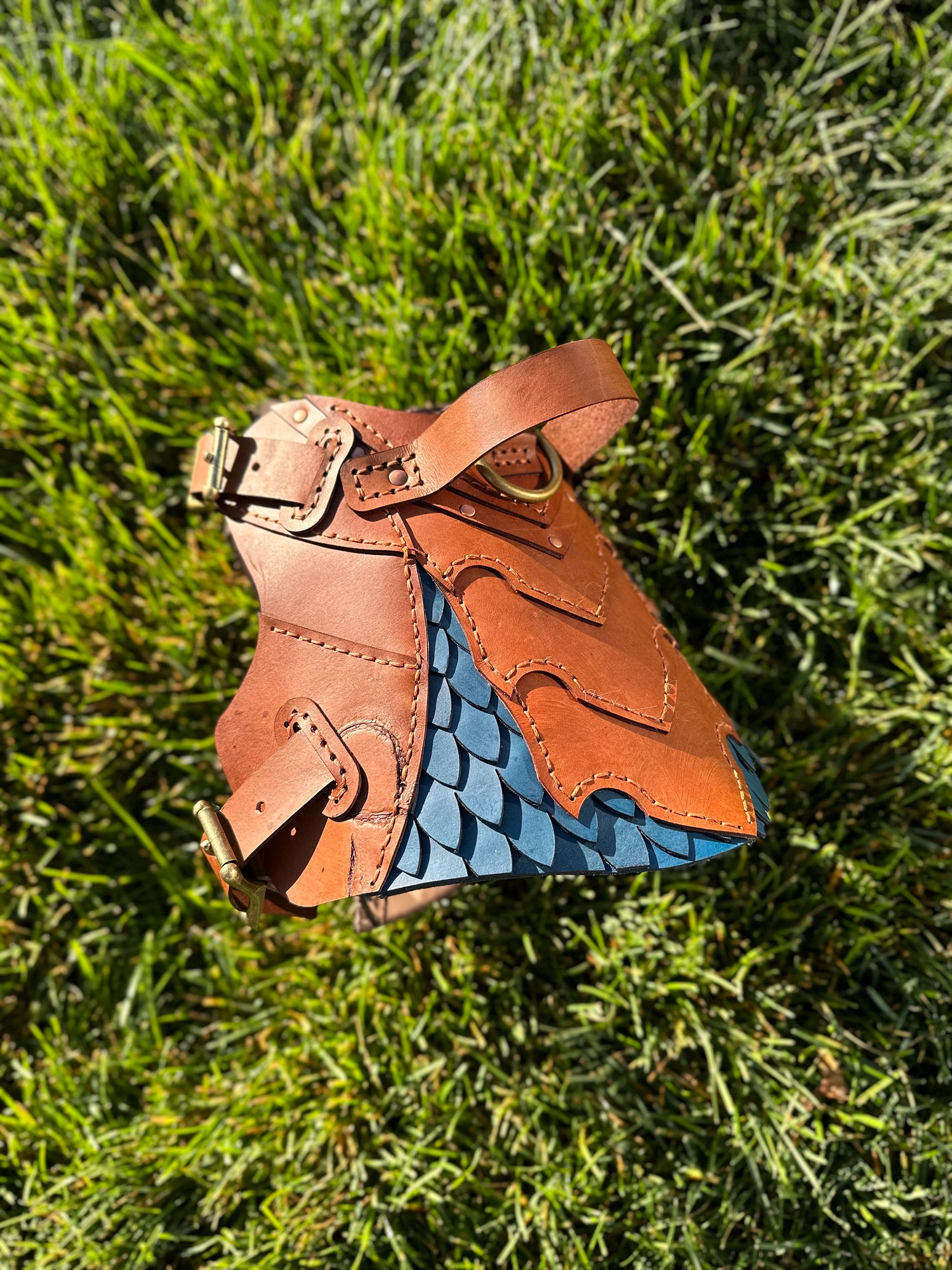 Ridgeback Leather Cat  Armor