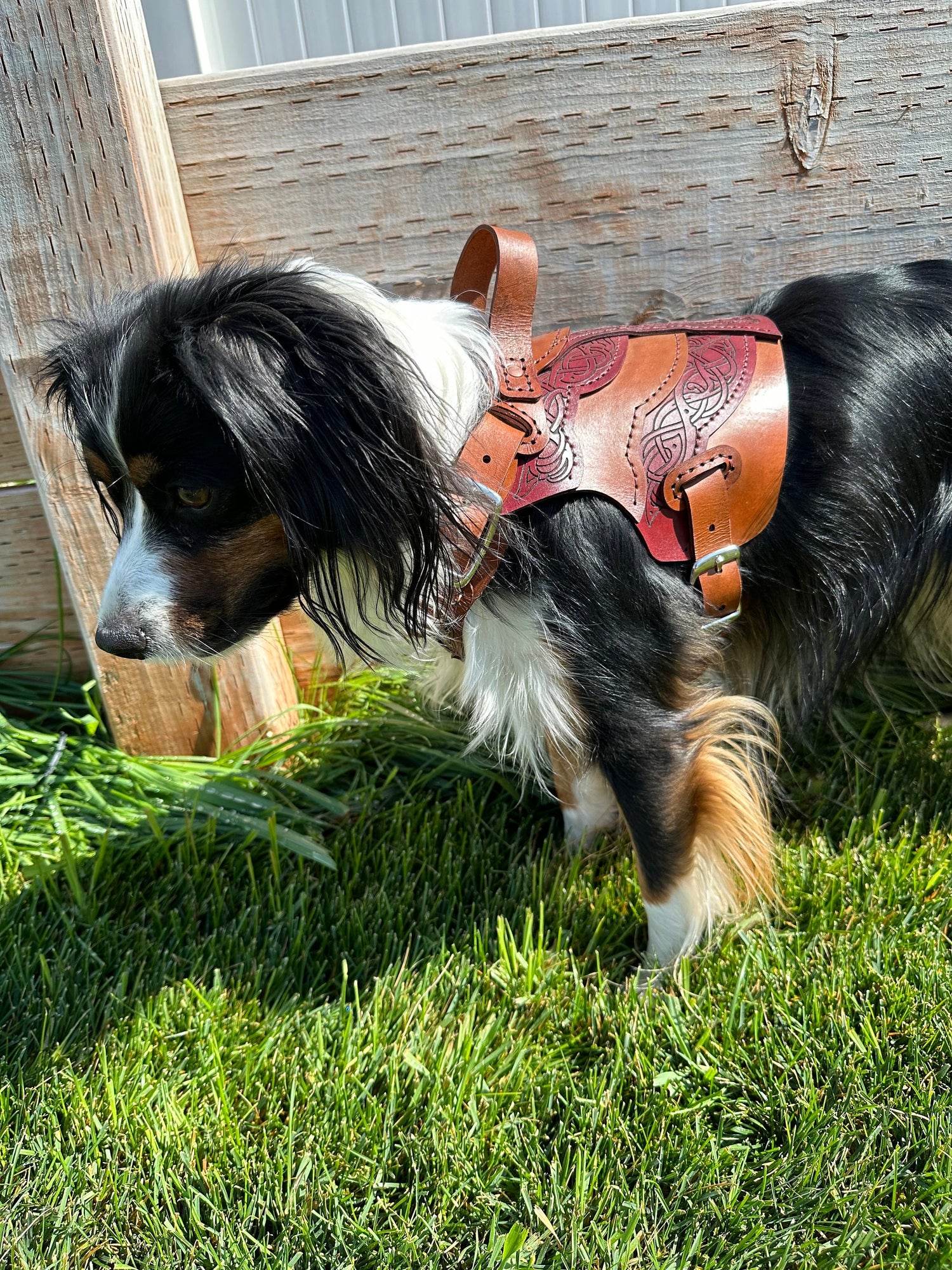 Frida Leather Dog Harness Armor
