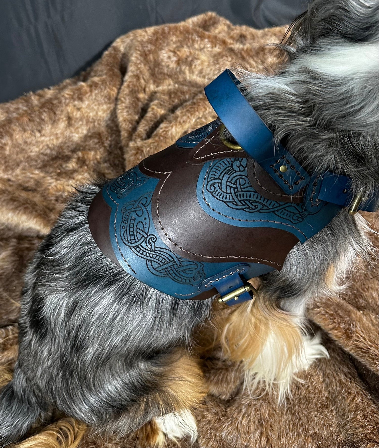 Floki Leather Dog Harness Armor