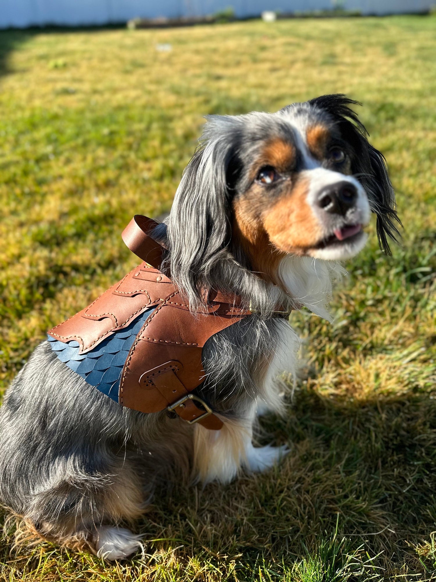 Ridgeback Leather Dog Harness Armor