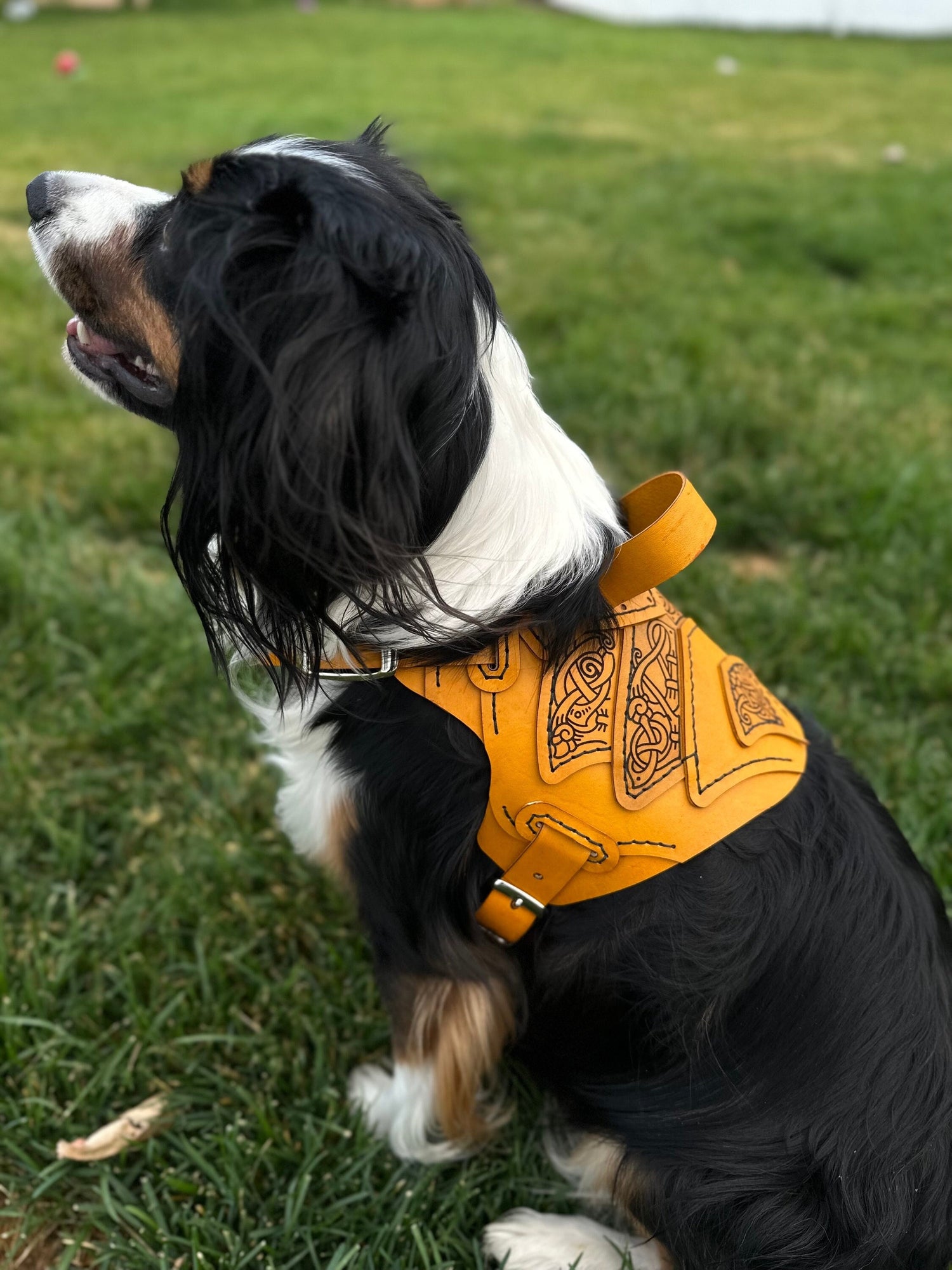 Njord Leather Dog Harness Armor