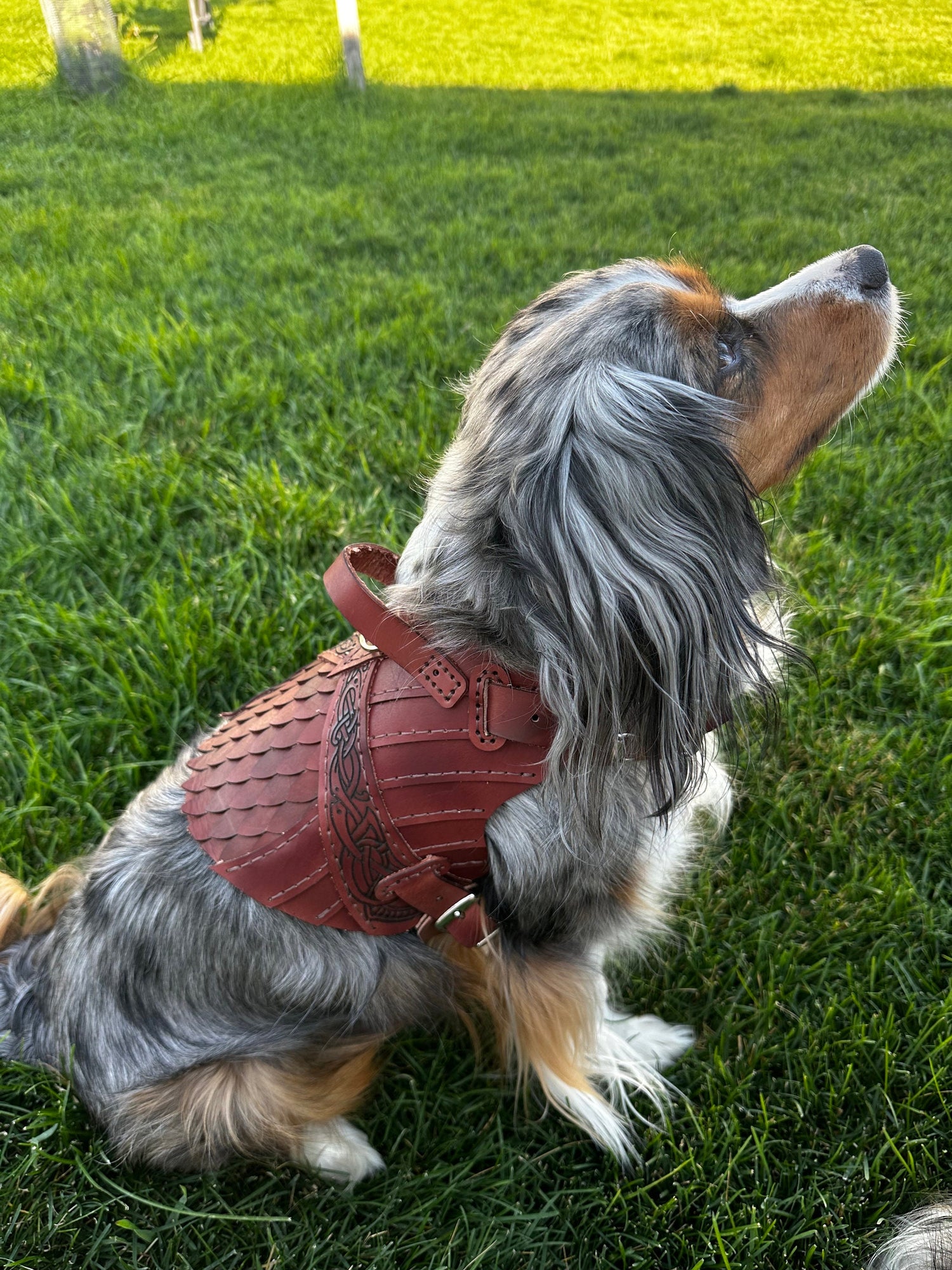 Erik Leather Dog Harness Armor