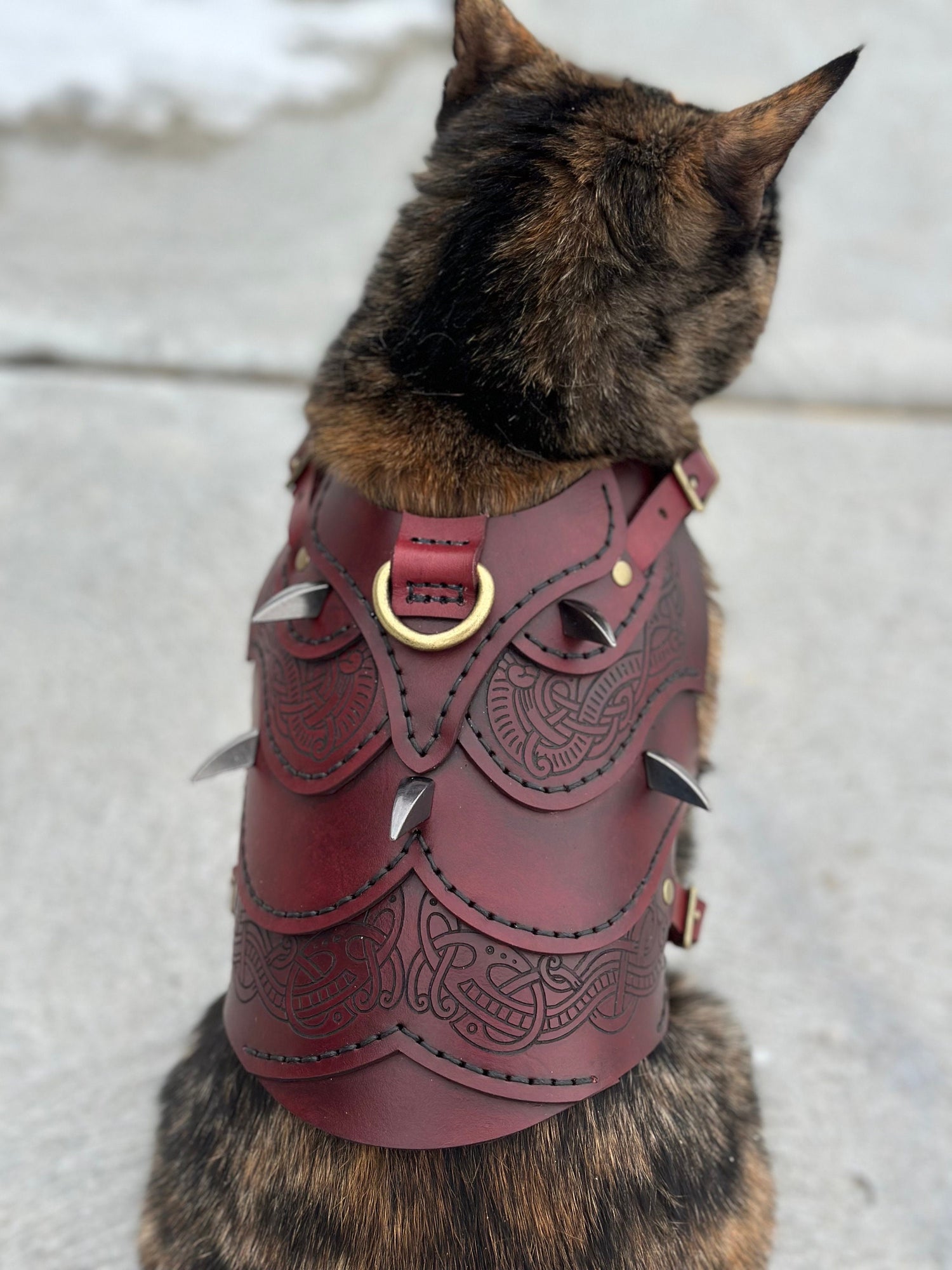 Floki Leather Cat Harness Armor