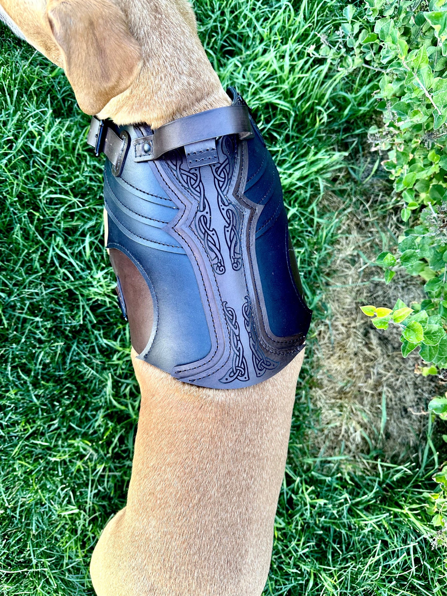 Leif Leather Dog Harness Armor