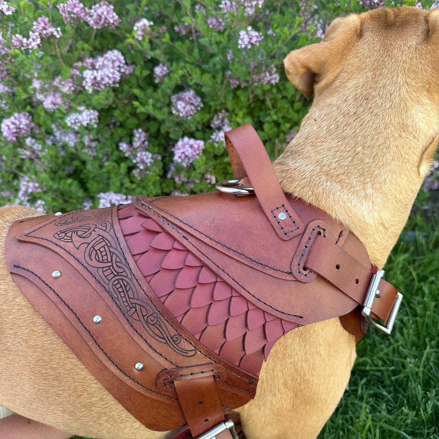 Rollo Leather Dog Harness Armor