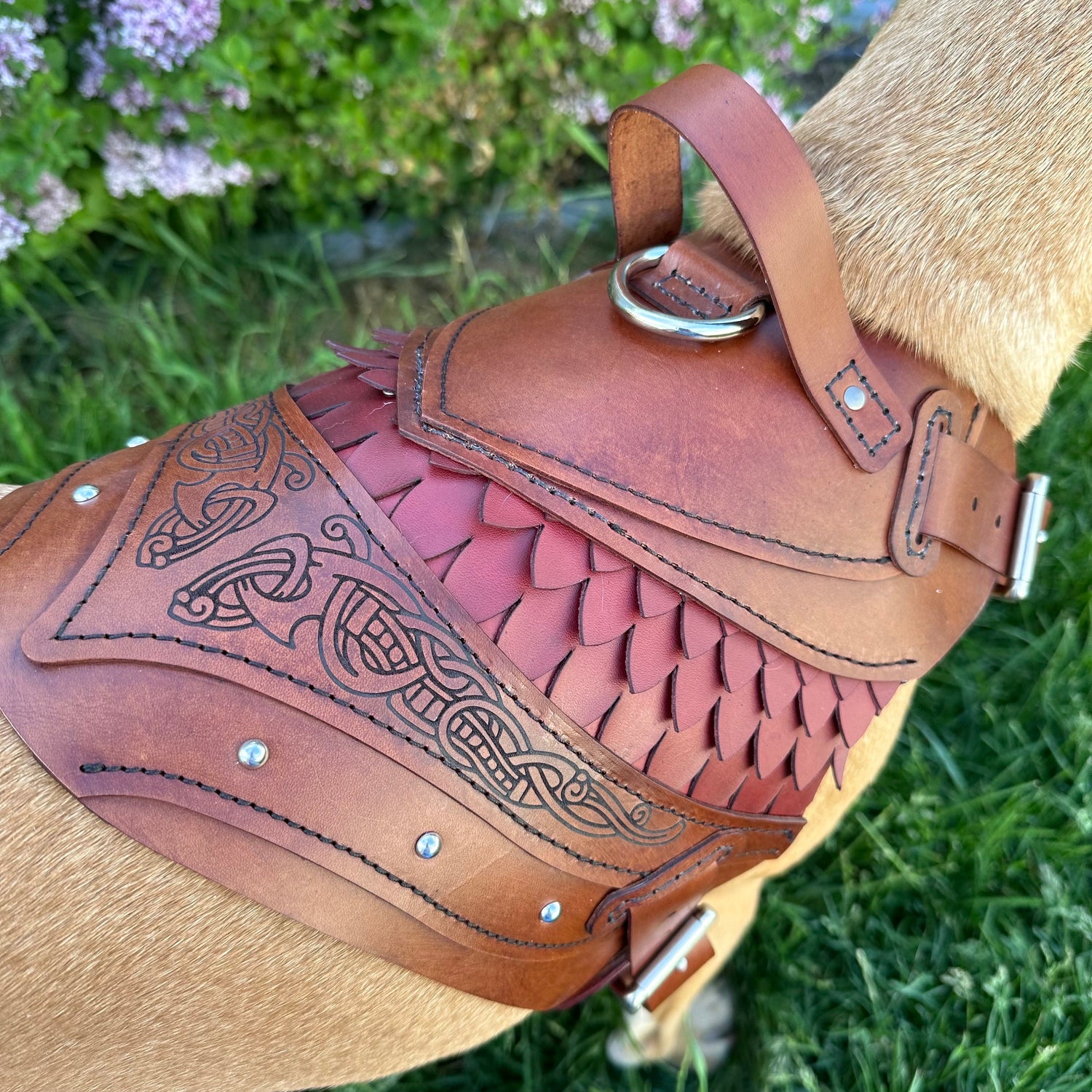 Rollo Leather Dog Harness Armor