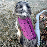 Evie Leather Dog Armor, Harness