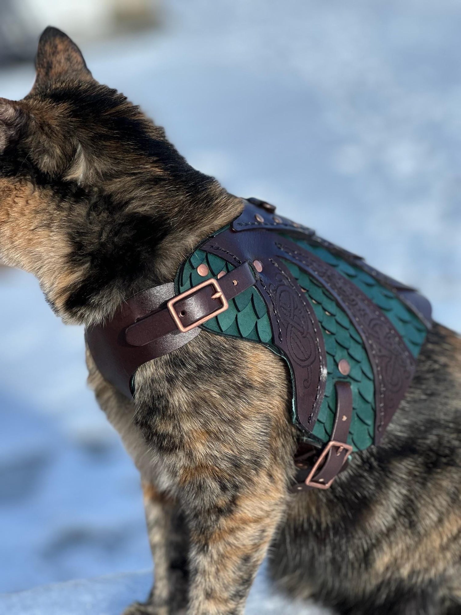 Olaf Leather CAT Harness Armor