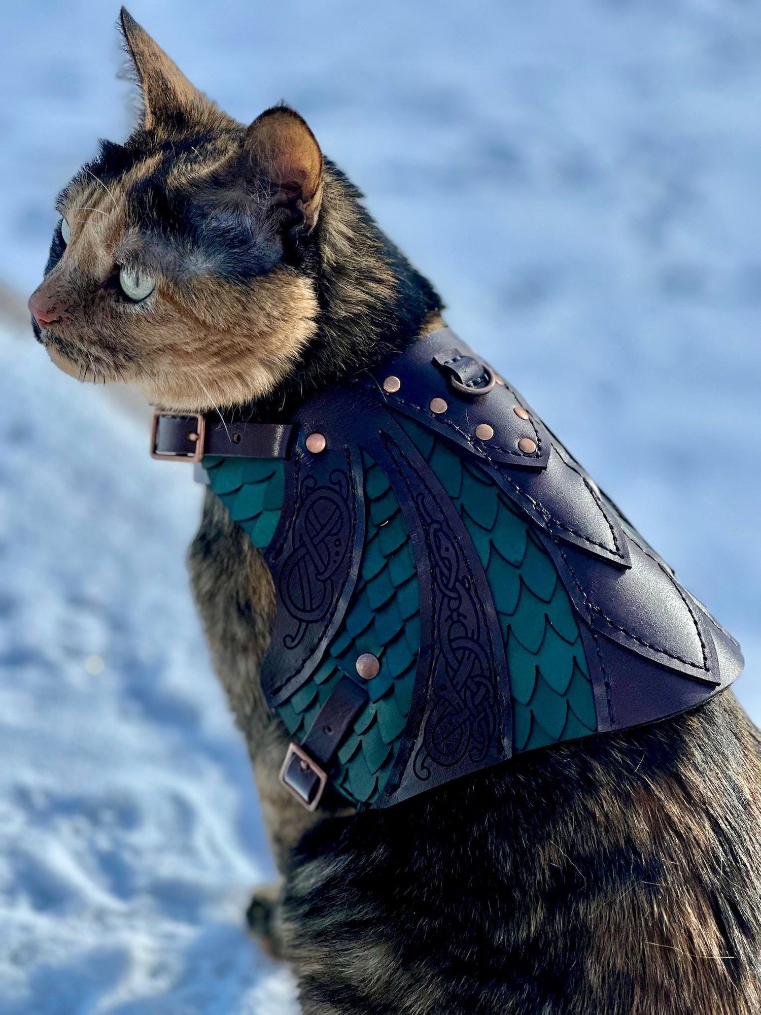 Olaf Leather CAT Harness Armor