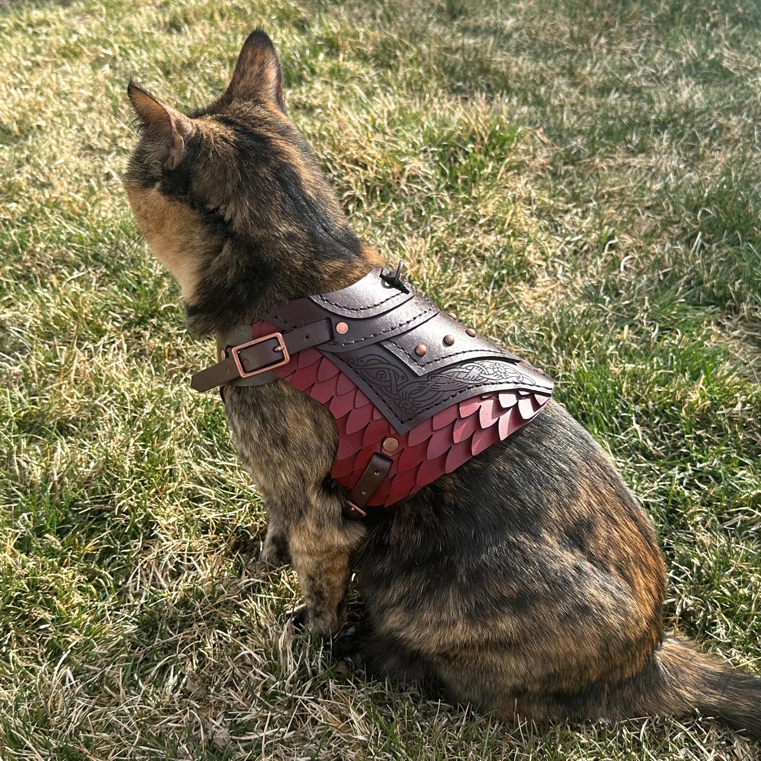 Dagmar Leather Cat Harness Armor