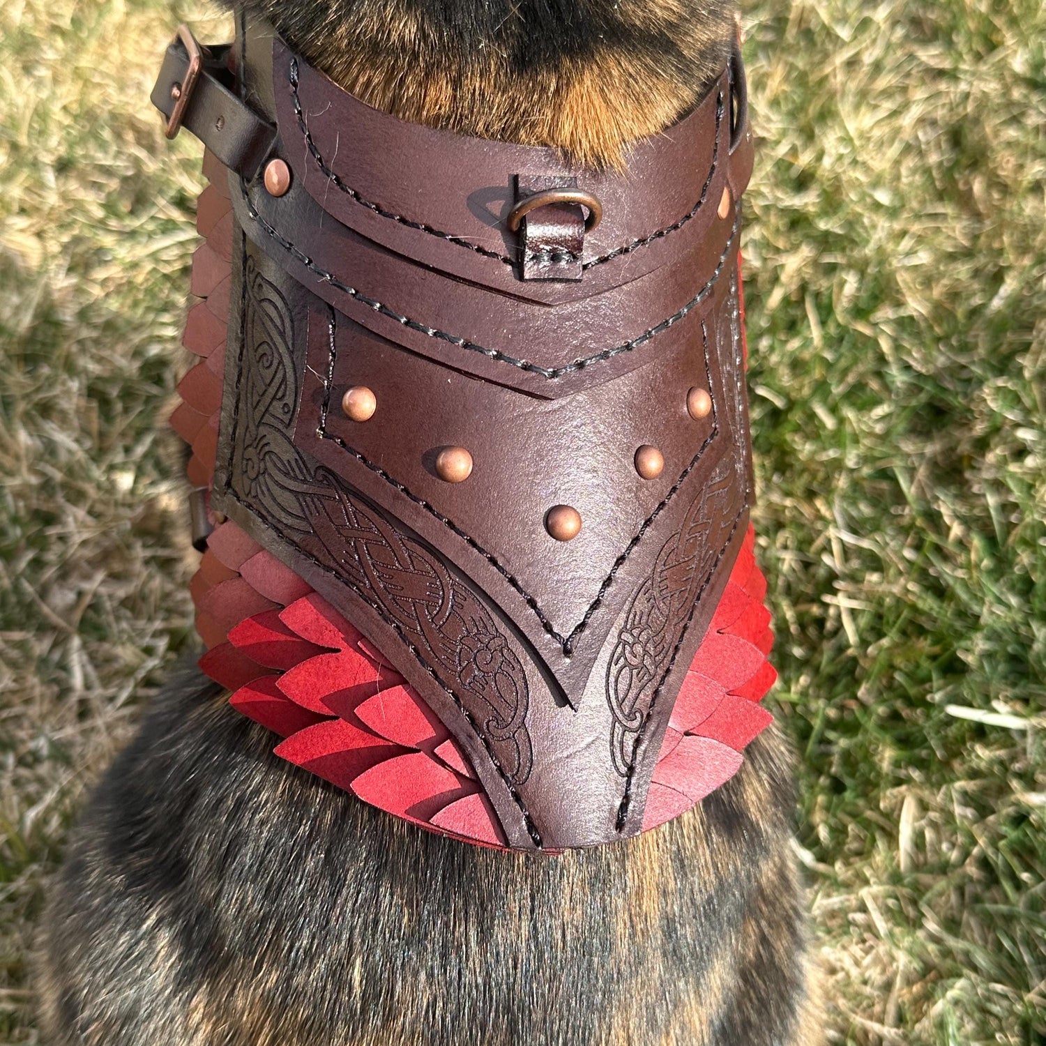 Dagmar Leather Cat Harness Armor