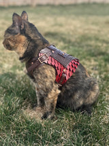 Dagmar Leather Cat Harness Armor