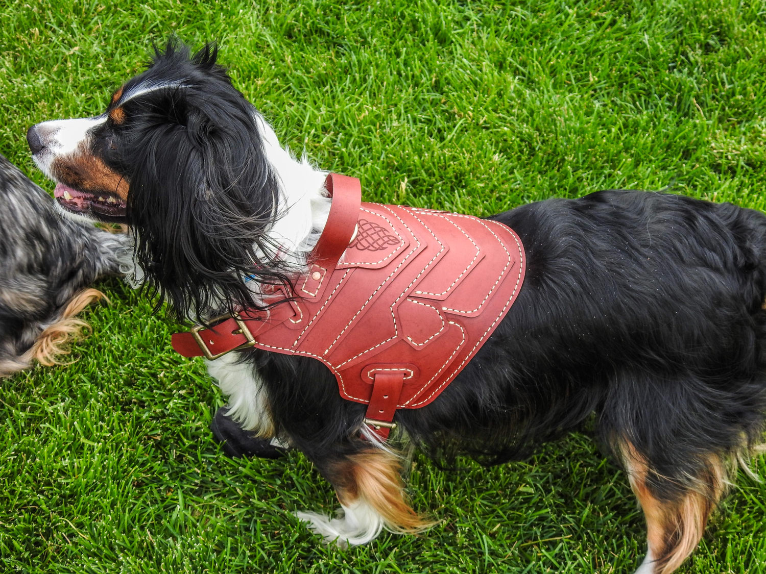 Druaneth Leather Dog Armor Harness