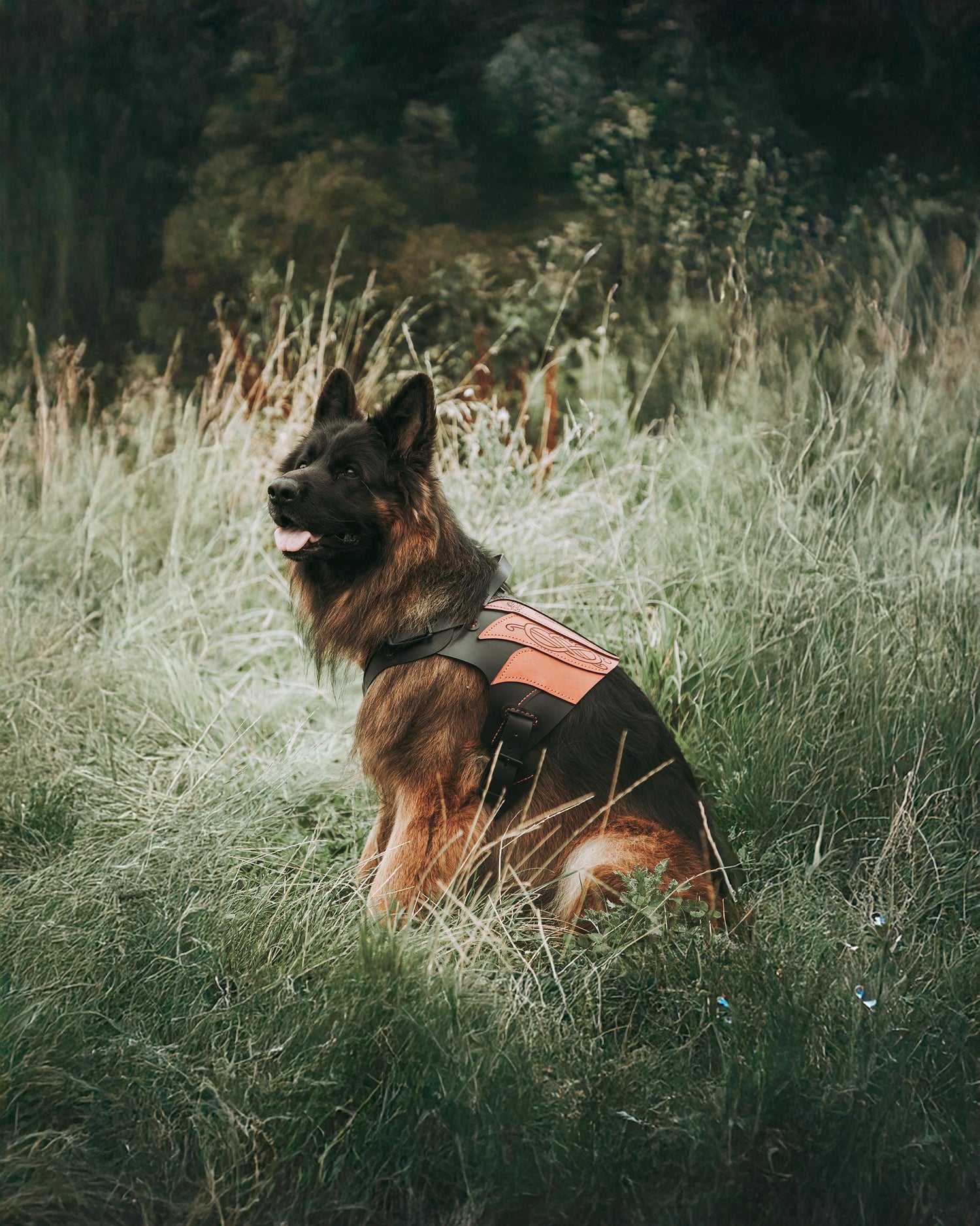 Delling Leather Dog Harness Armor