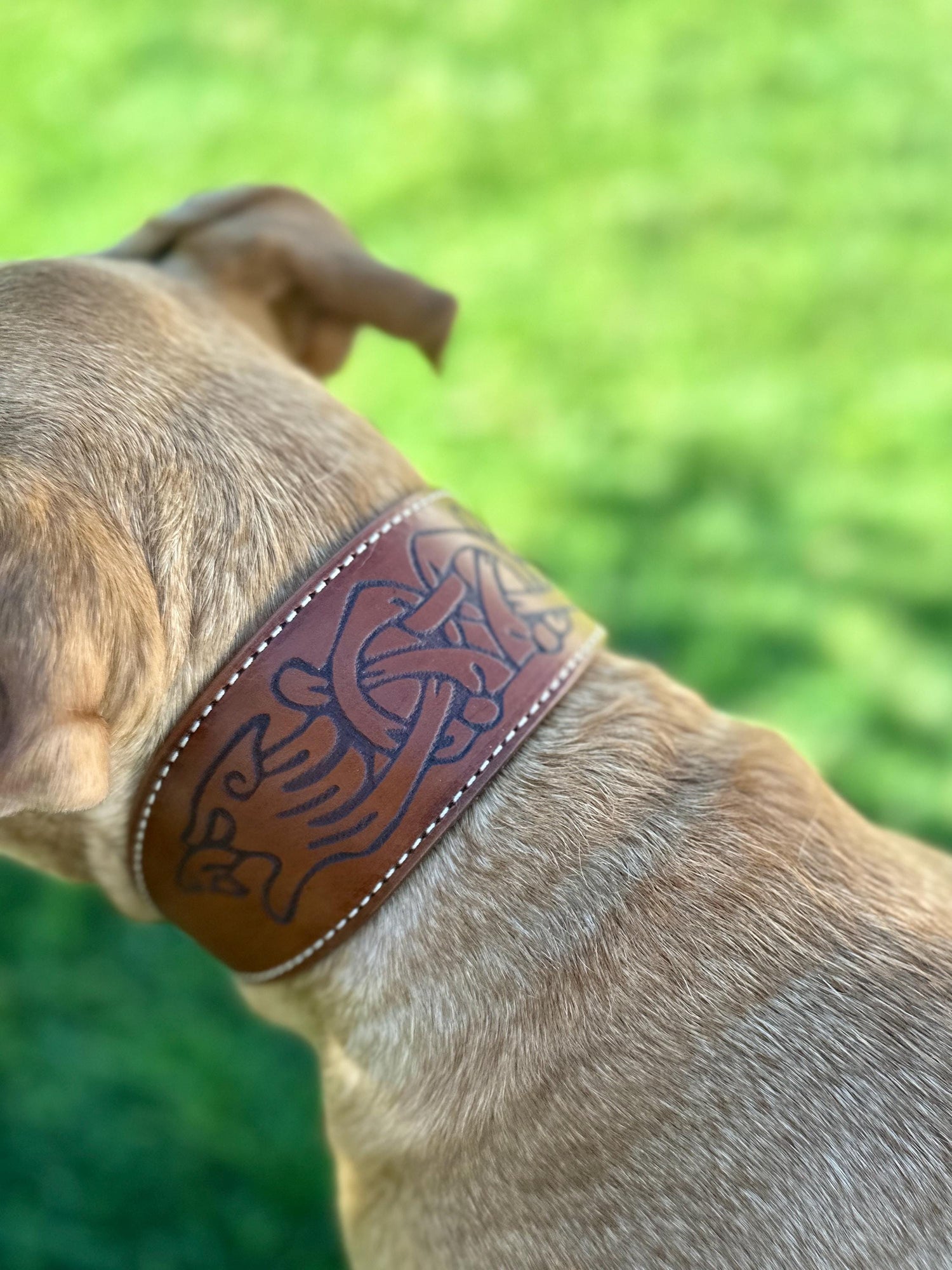 Celtic Leather Dog Collar