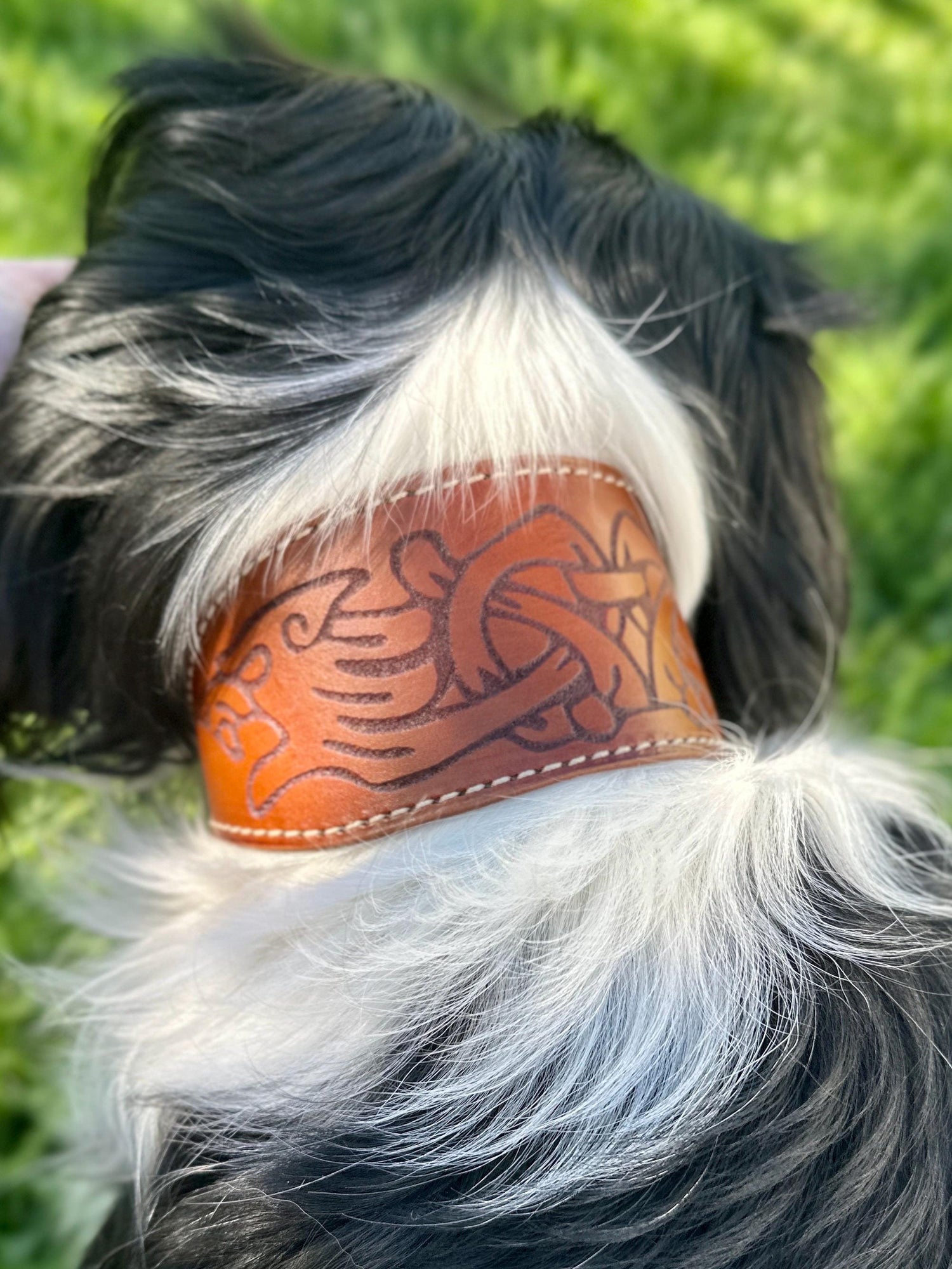 Celtic Leather Dog Collar