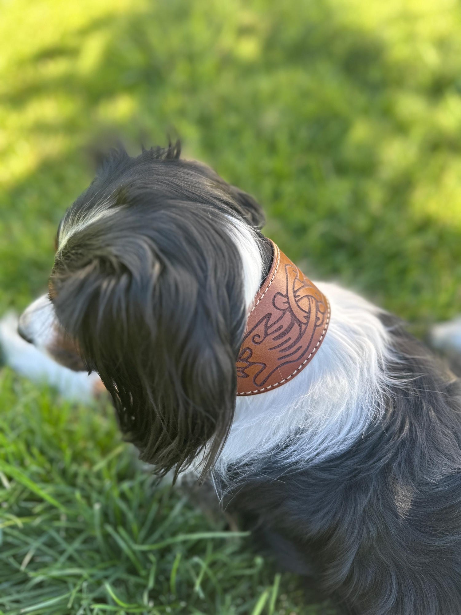 Celtic Leather Dog Collar