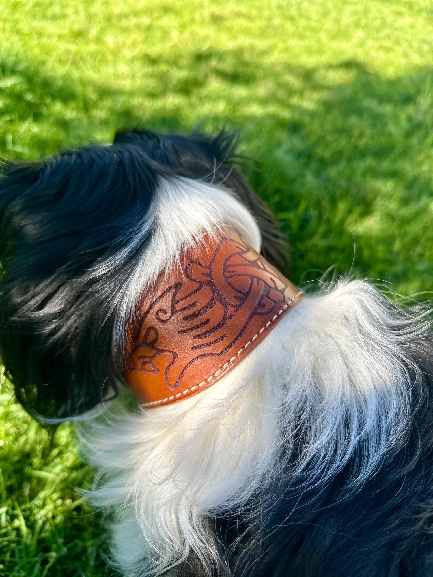 Celtic Leather Dog Collar