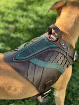 Brimstar Leather Dog Harness Armor