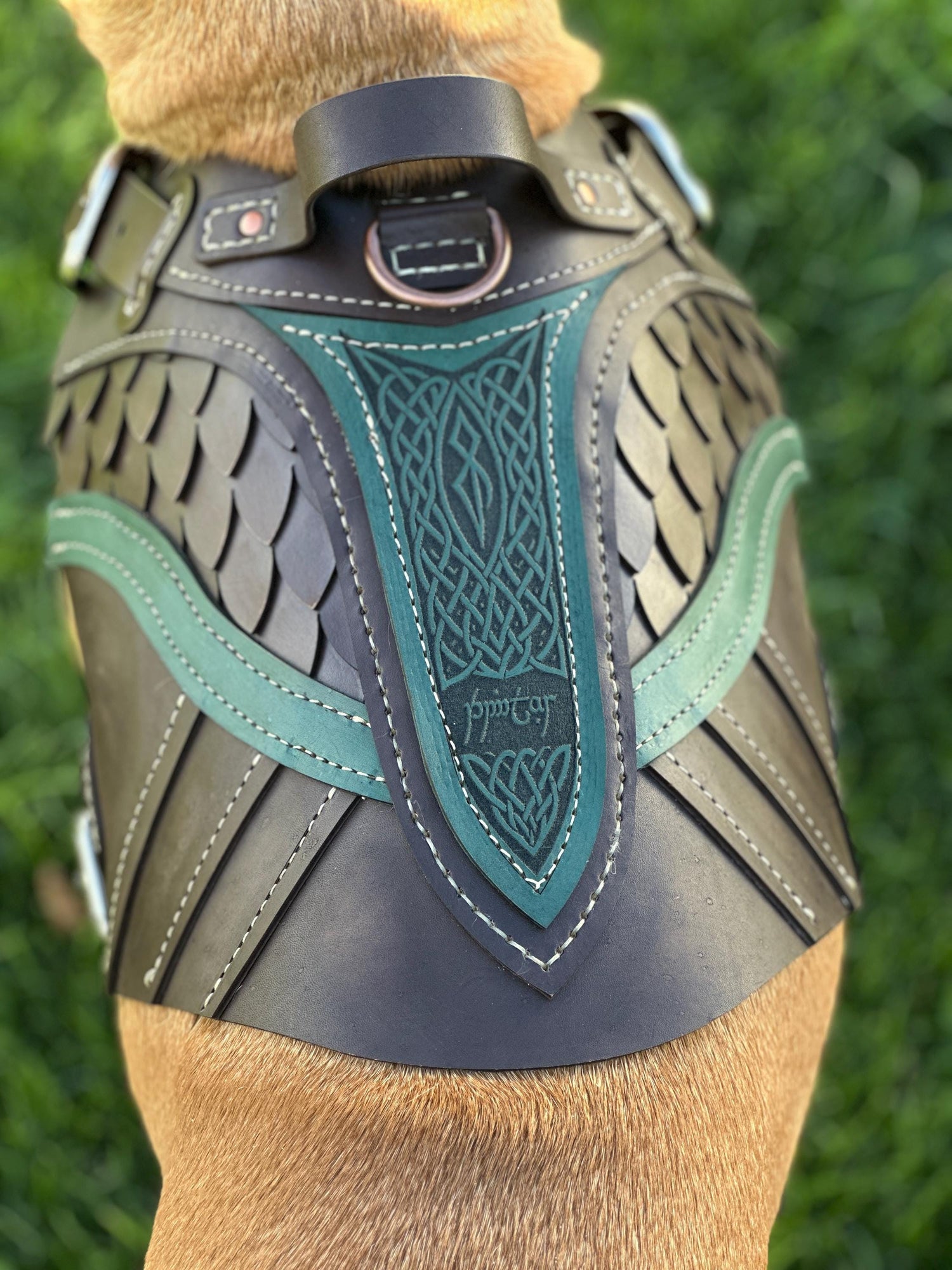 Brimstar Leather Dog Harness Armor